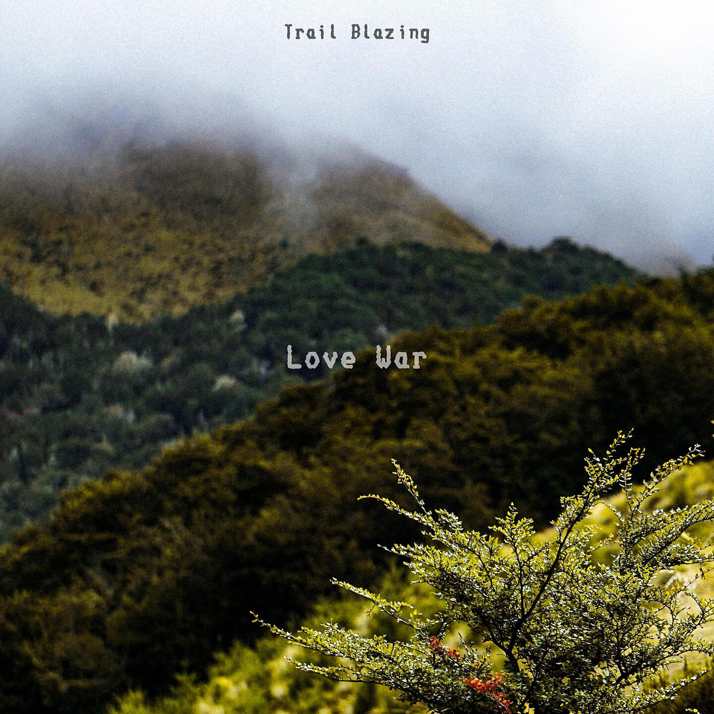 Trail Blazing - Earwax