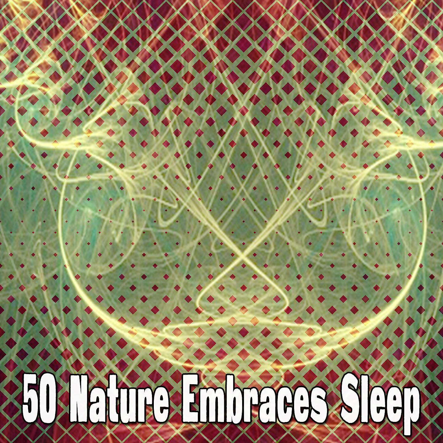 Natural White Noise For Babies - Rain in the Tree Tops