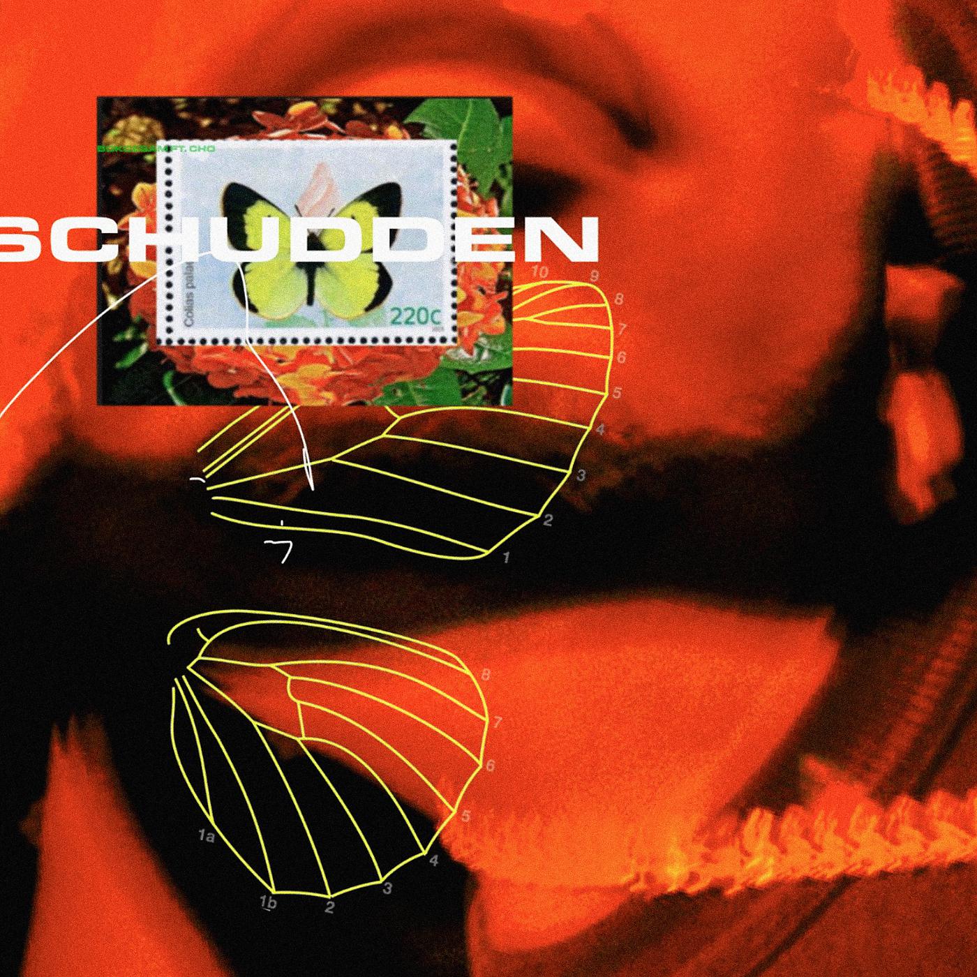 Постер альбома Schudden