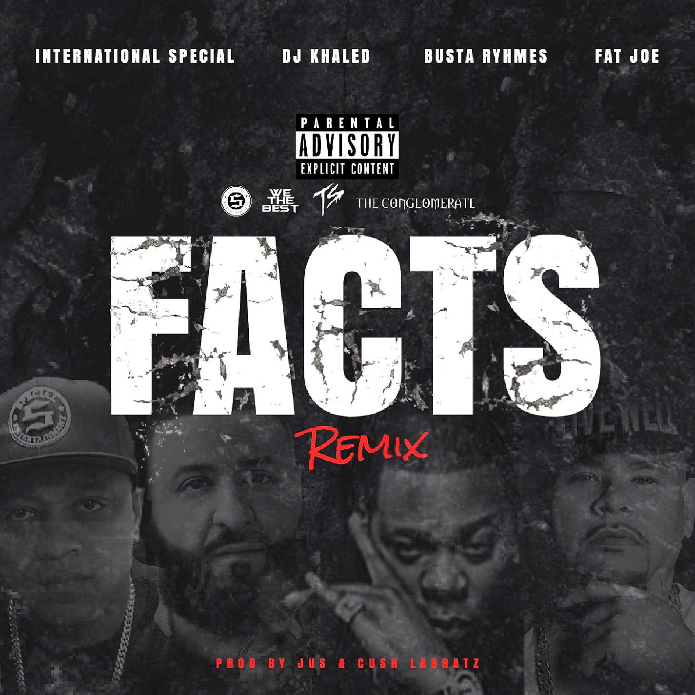 Постер альбома Facts Remix (feat. DJ Khaled, Busta Rhymes & Fat Joe)