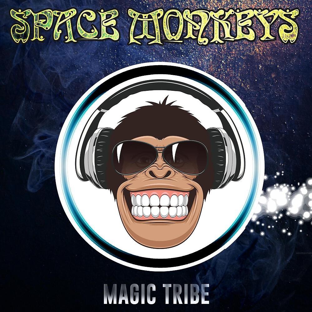 Space Monkeys - Switchback (Original Mix)