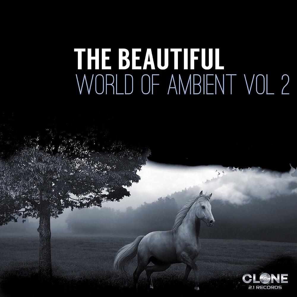 Постер альбома The Beautiful World of Ambient, Vol. 2
