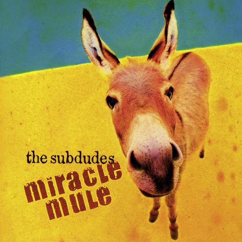 Постер альбома Miracle Mule