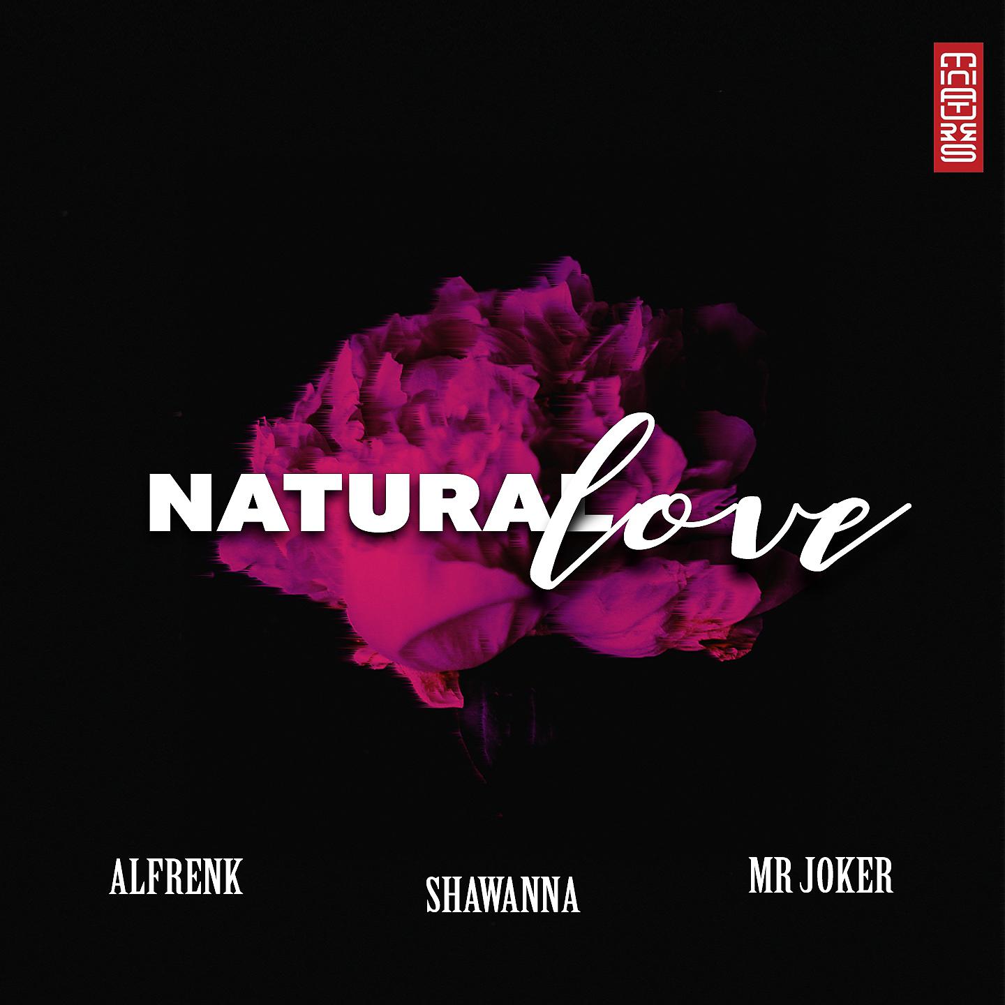 Shawanna - Natural Love (Lino Di Meglio Remix)