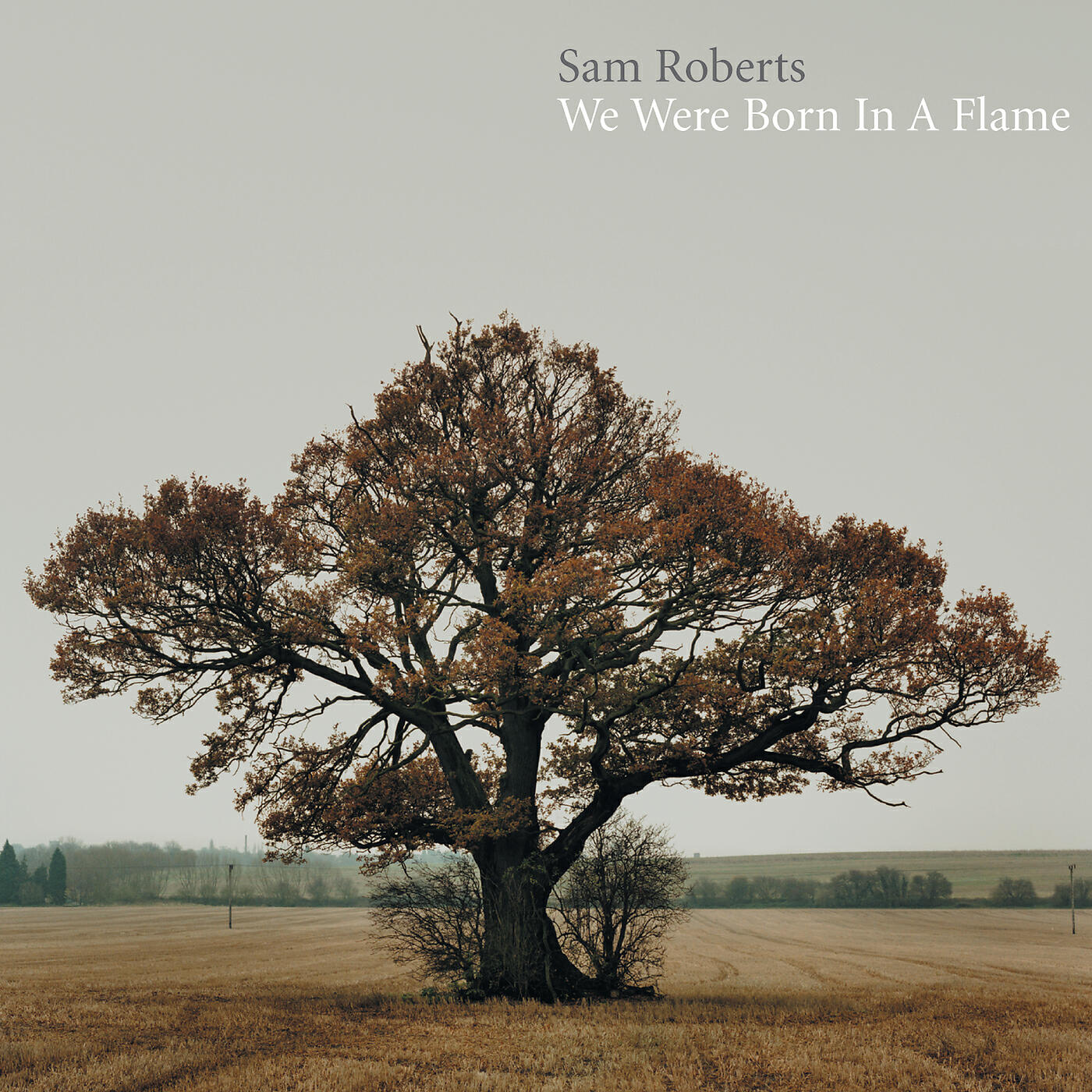 Sam Roberts - Where Have All The Good People Gone?
