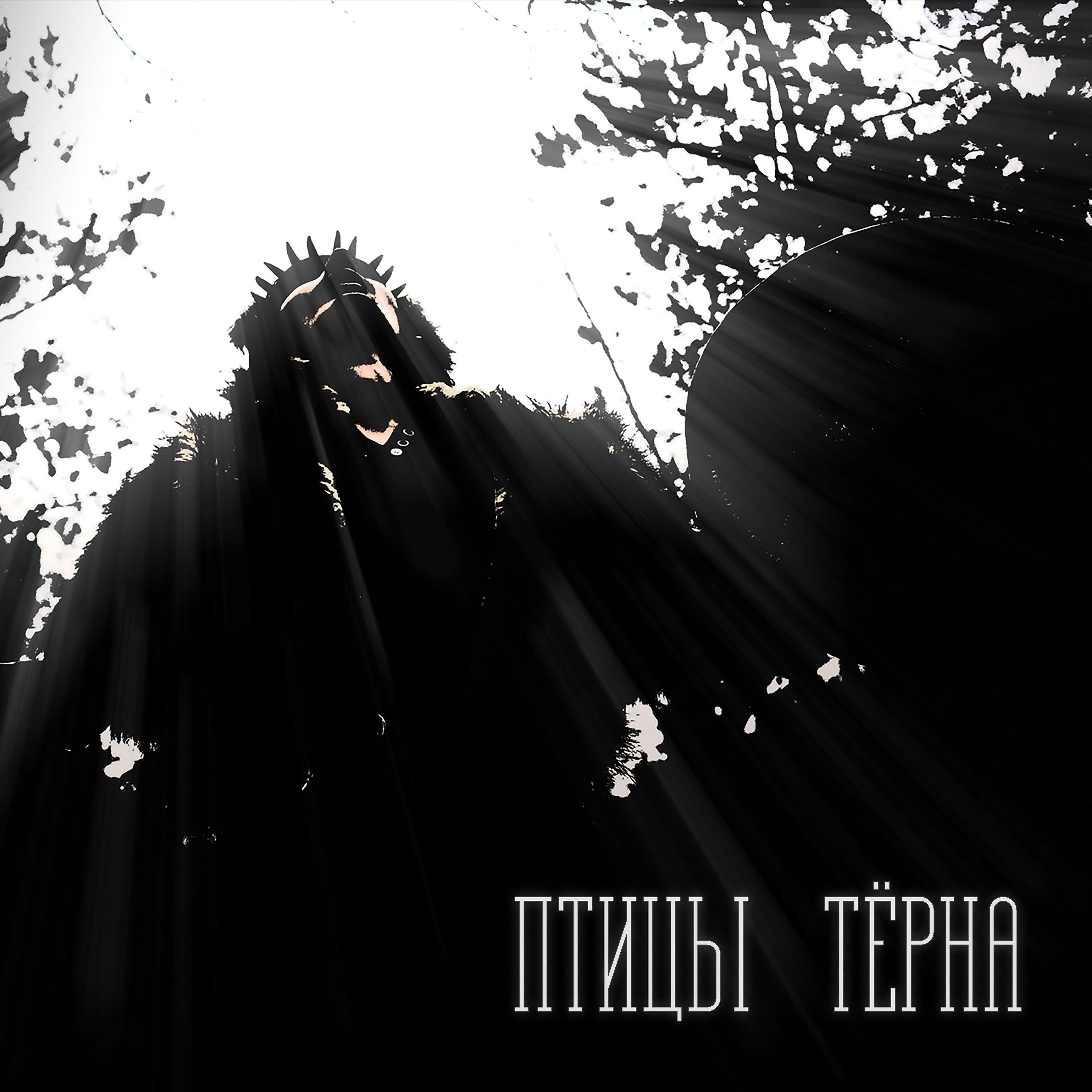 Птицы Тёрна - Птицы тёрна