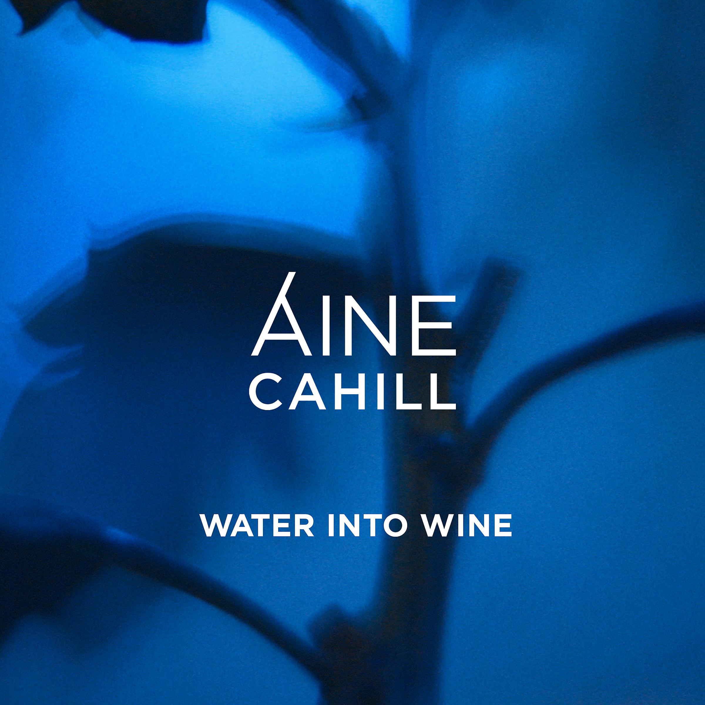 Постер альбома Water Into Wine