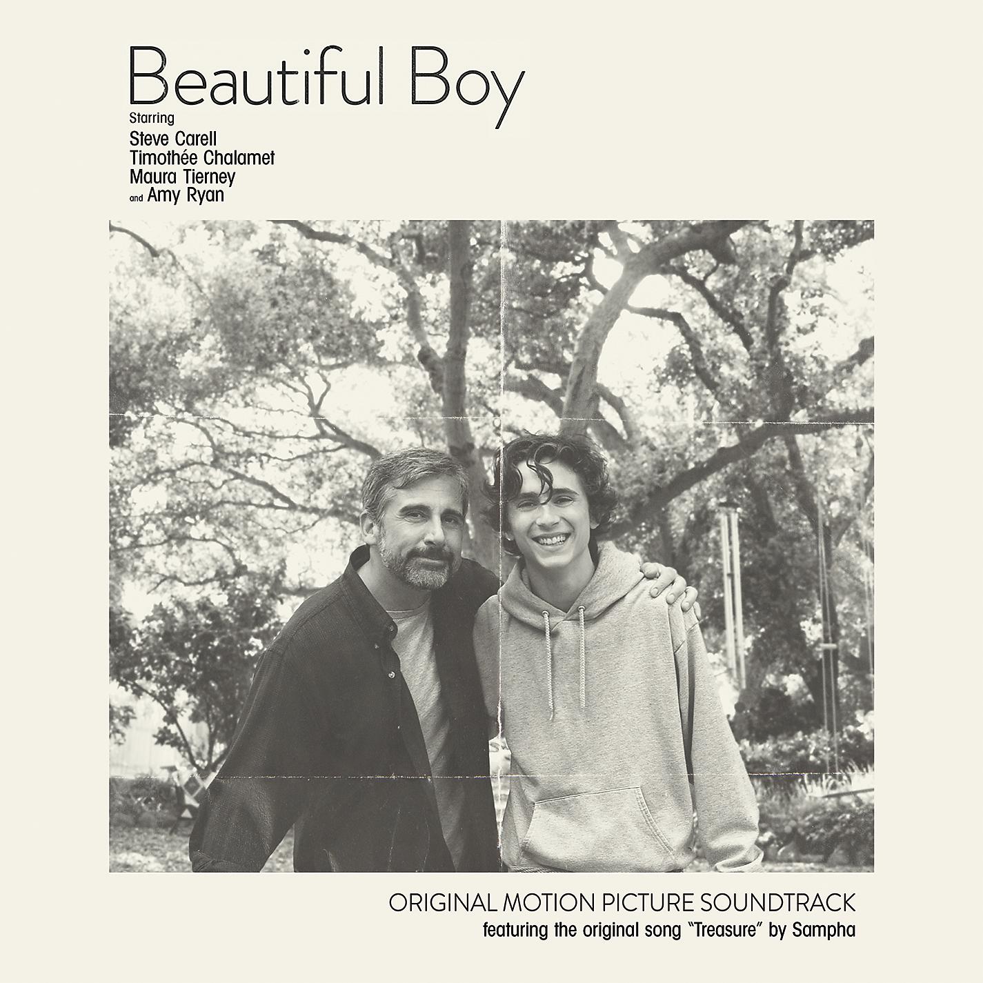 Постер альбома Beautiful Boy (Original Motion Picture Soundtrack)