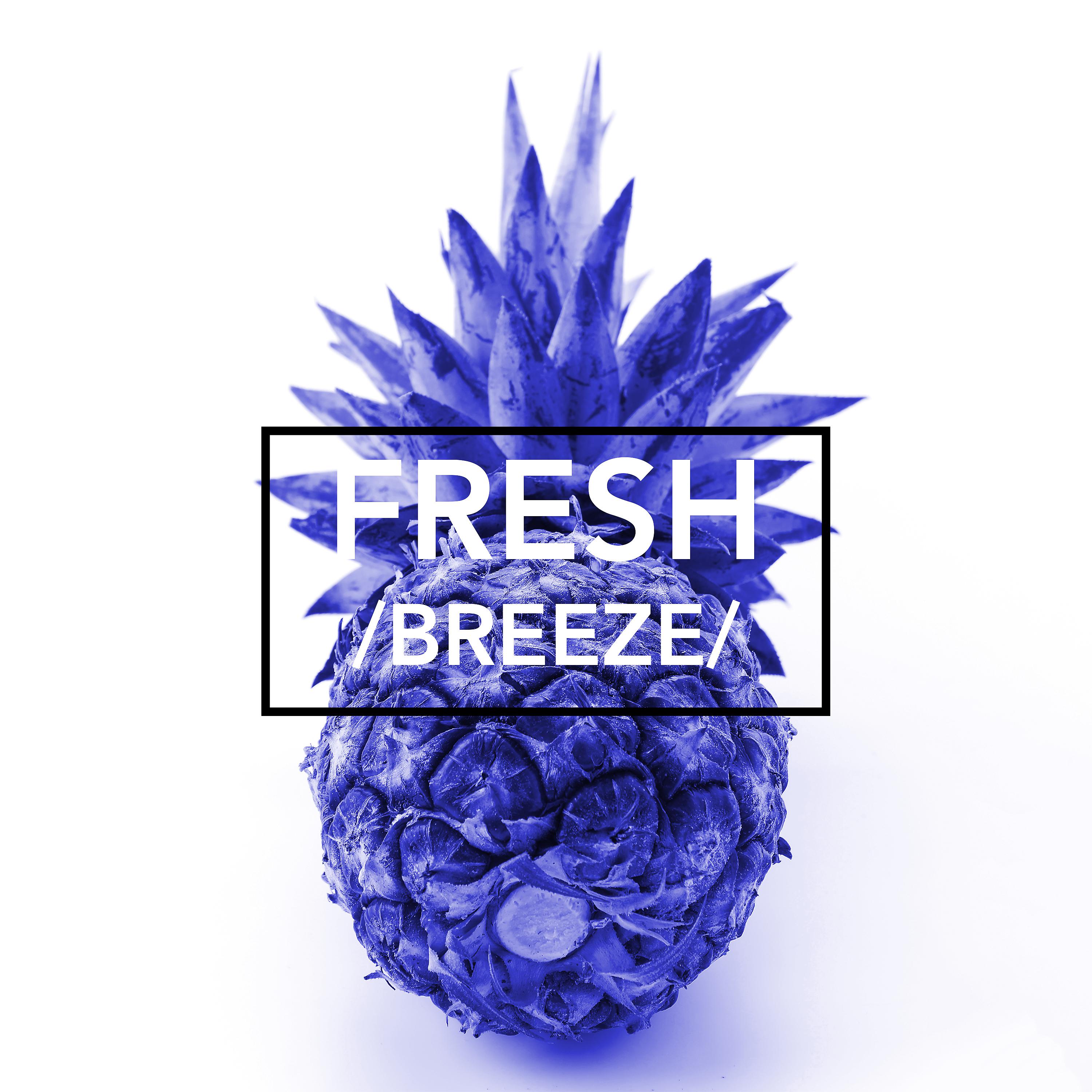 Постер альбома Fresh (Breeze)