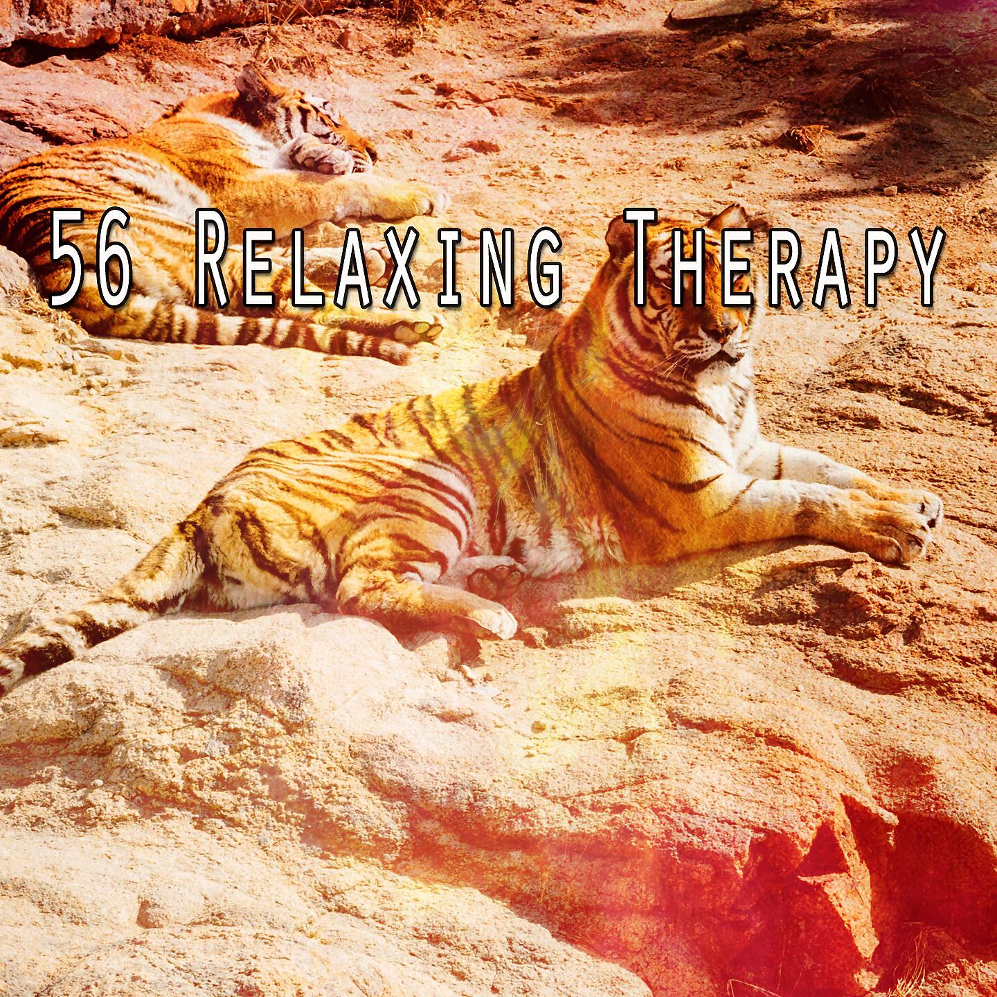 Deep Sleep Music Academy - The Slow Binaural Chime