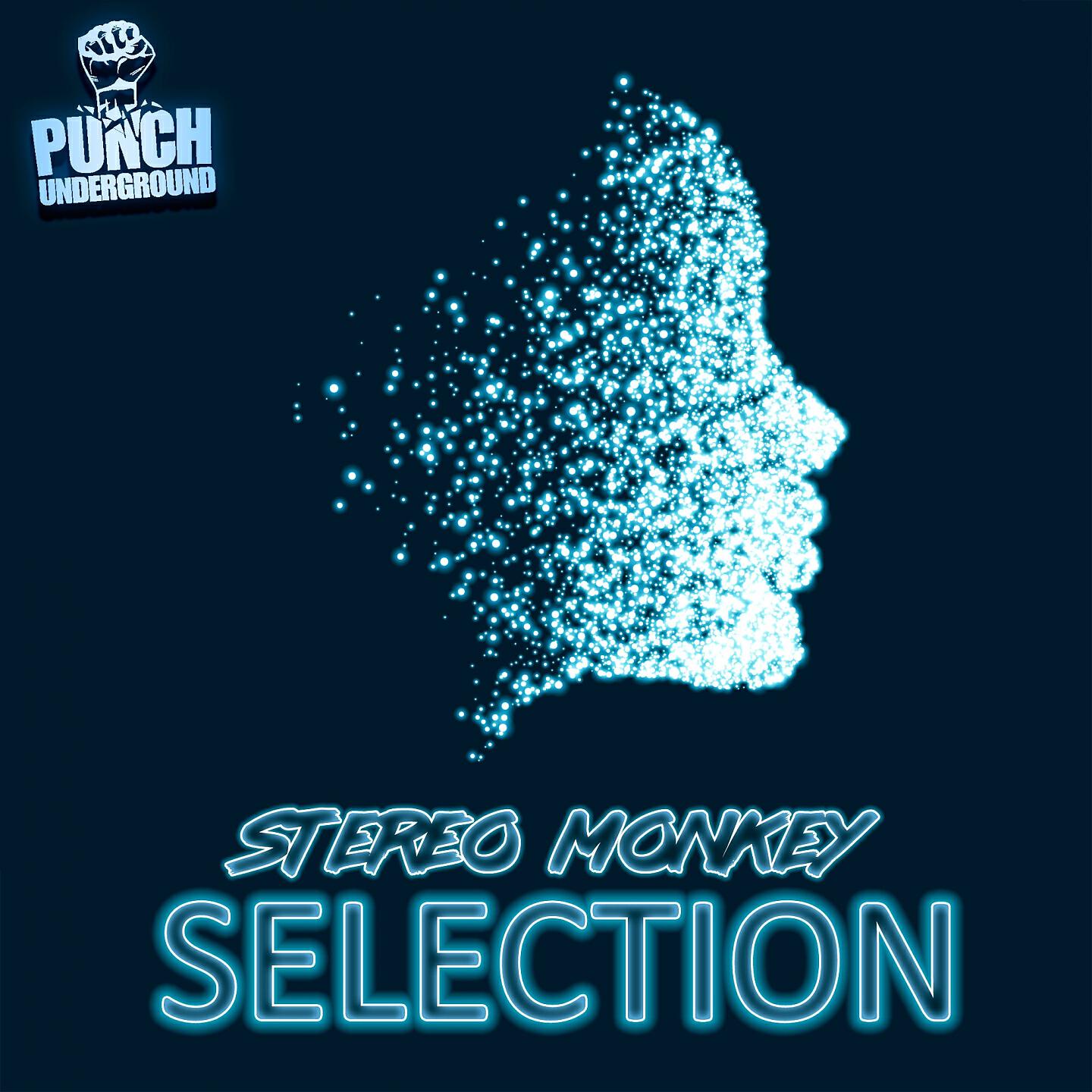 Stereo Monkey - AK 47