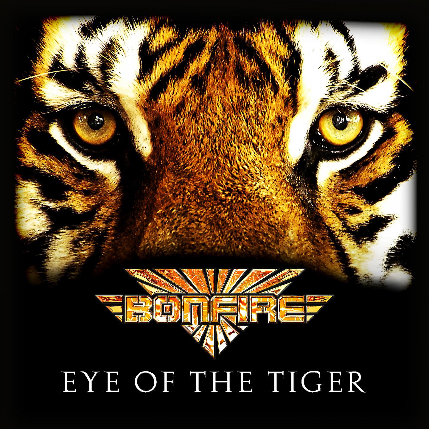 Постер альбома Eye of the Tiger