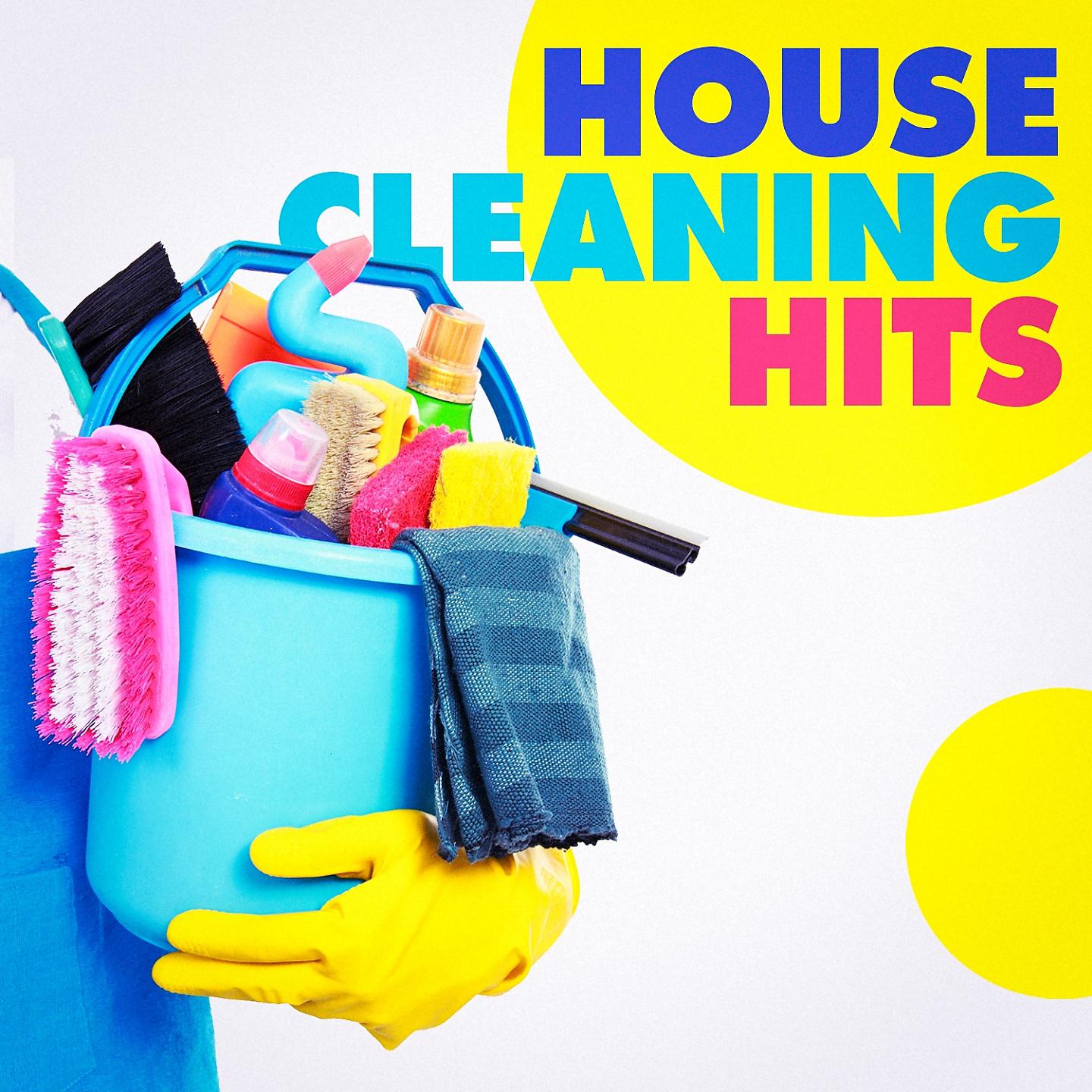 Постер альбома House Cleaning Hits