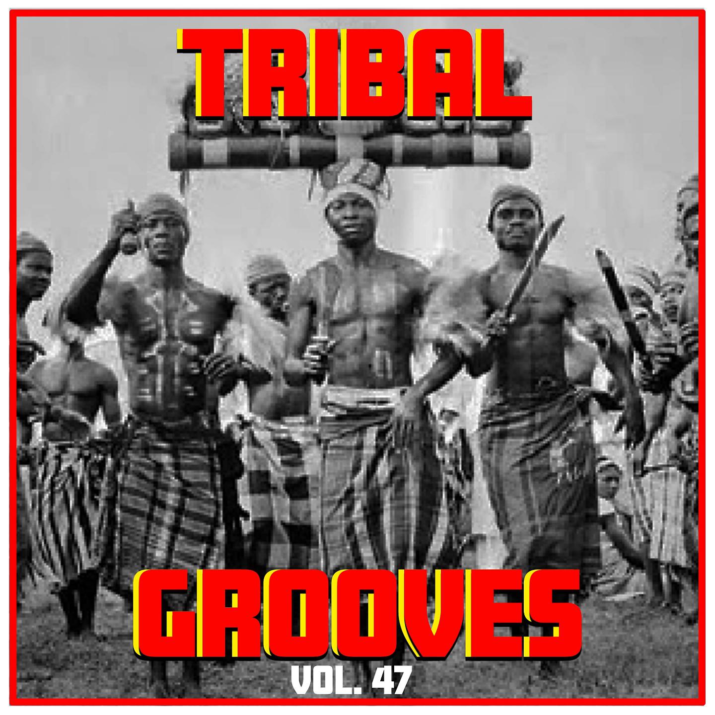 Постер альбома Tribal Grooves Vol. 47