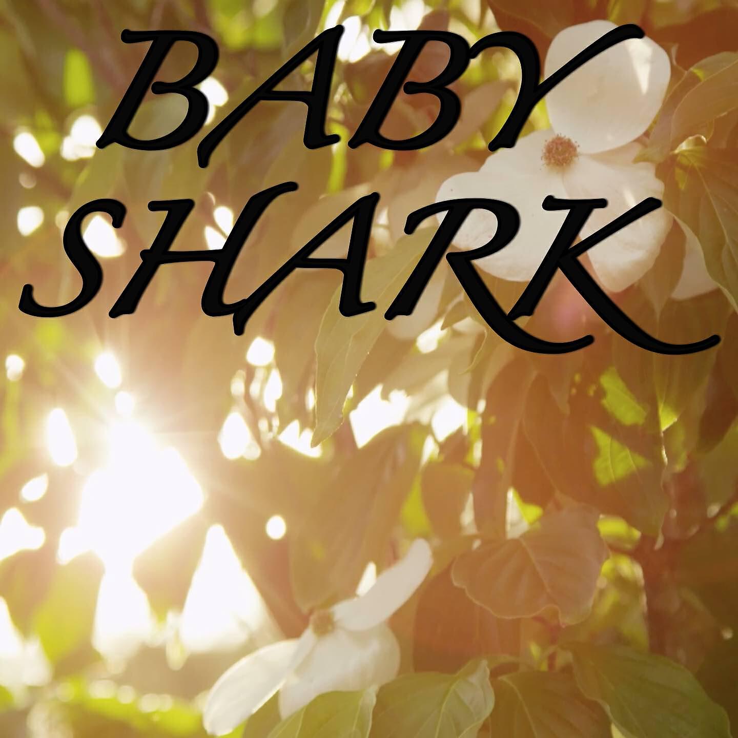 DJ Moodz - Baby Shark / Tribute to Pinkfong