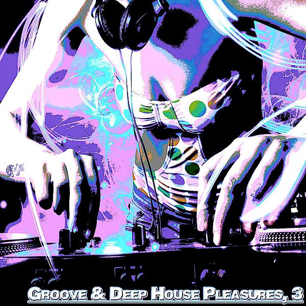Постер альбома Groove & Deep House Pleasures,3 (Deep House Selected Flavours)