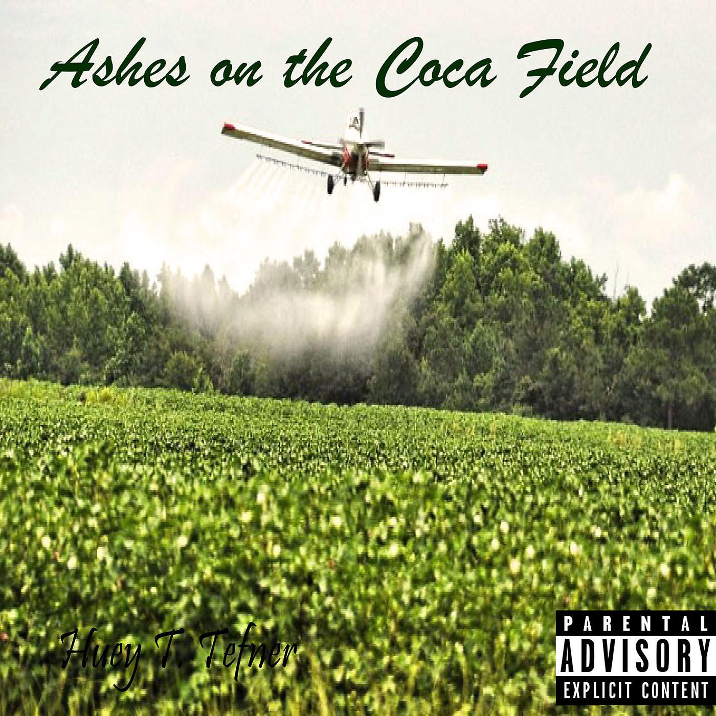 Постер альбома Ashes on the Coca Field