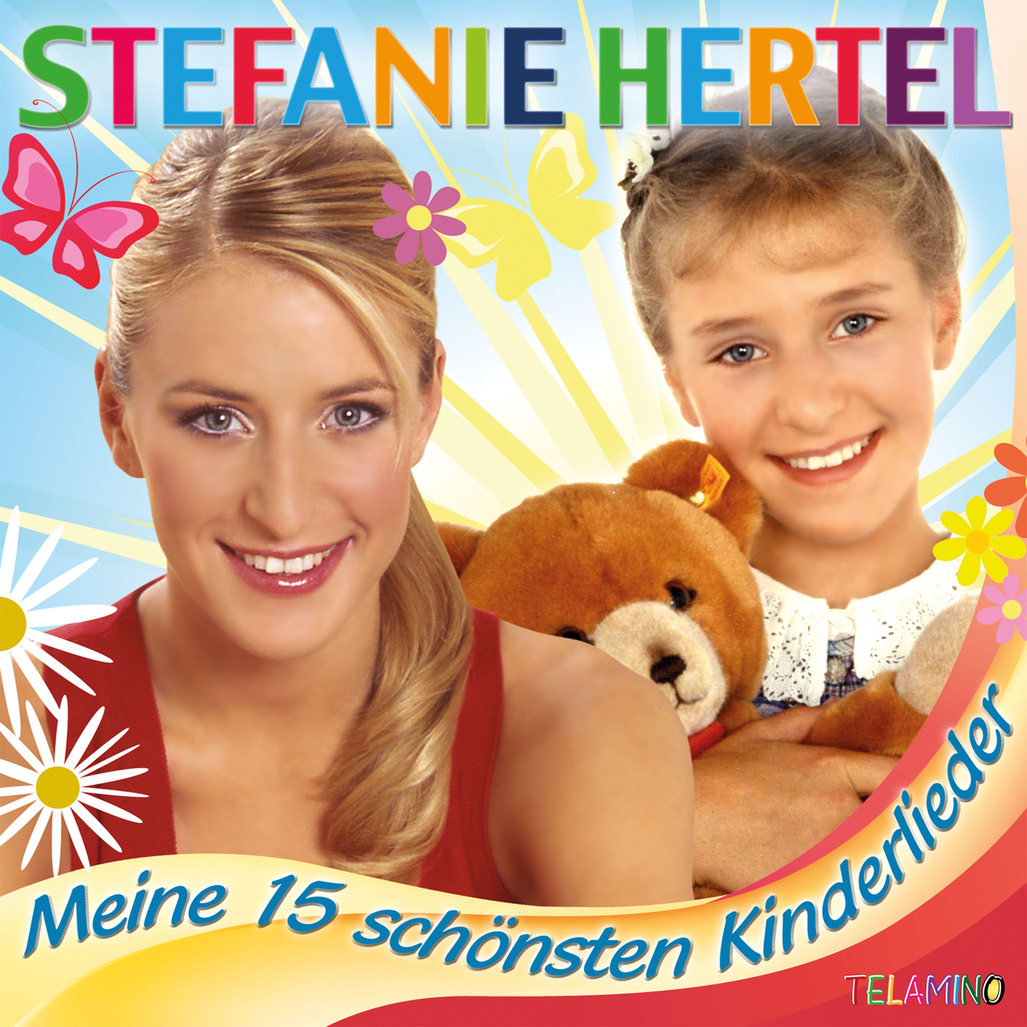 Постер альбома Meine 15 schönsten Kinderlieder