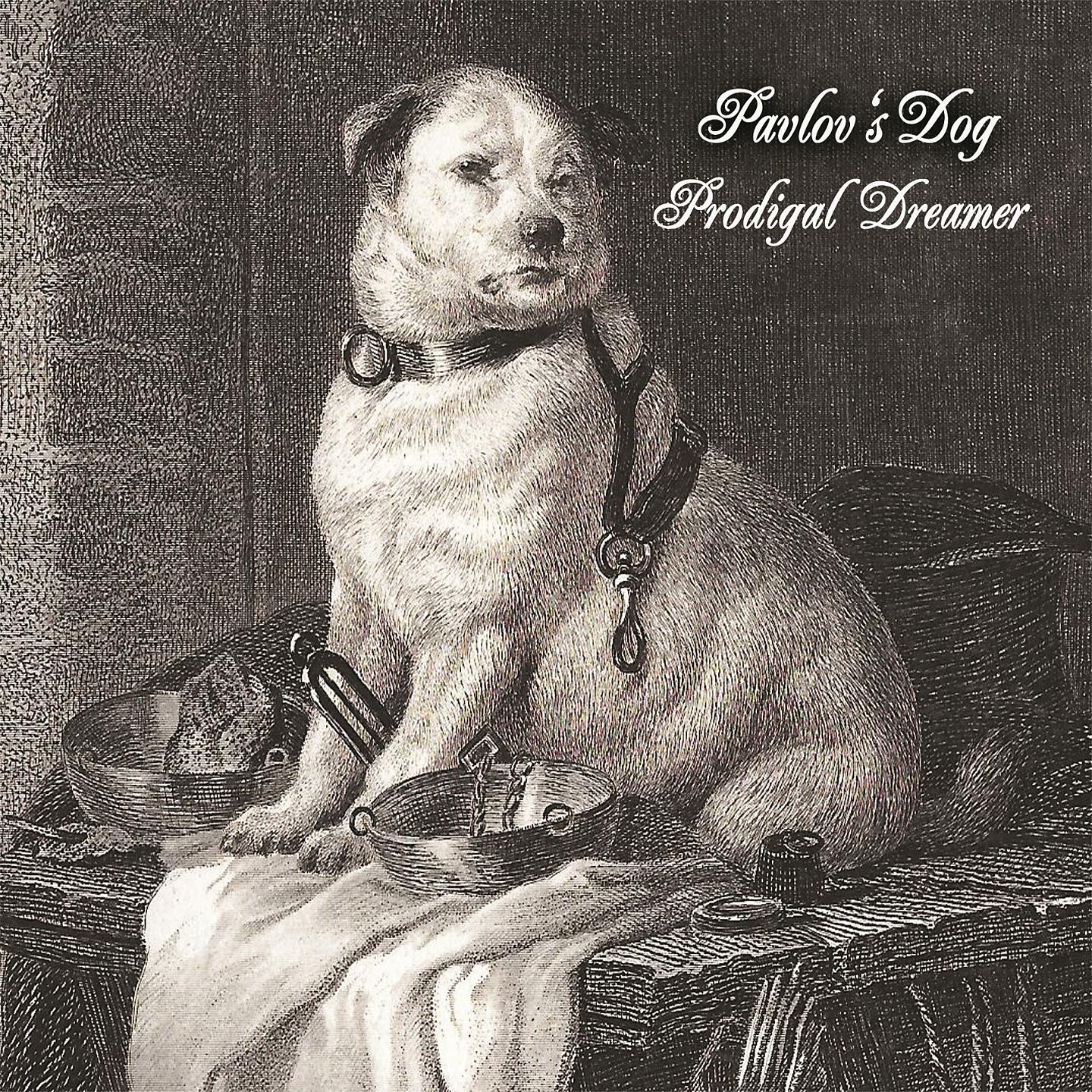 Постер альбома Prodigal Dreamer