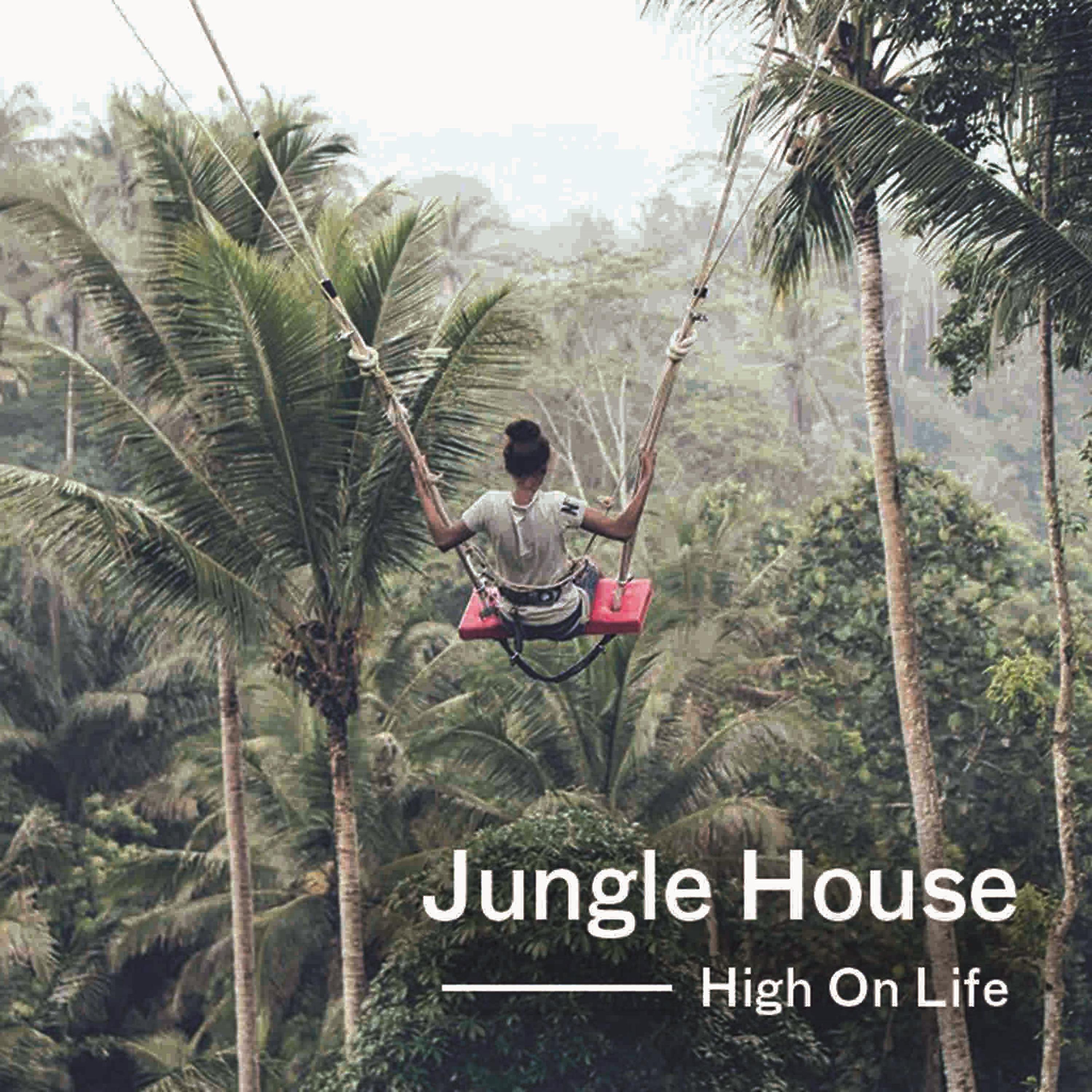 Постер альбома High on Life (feat. Eiki)
