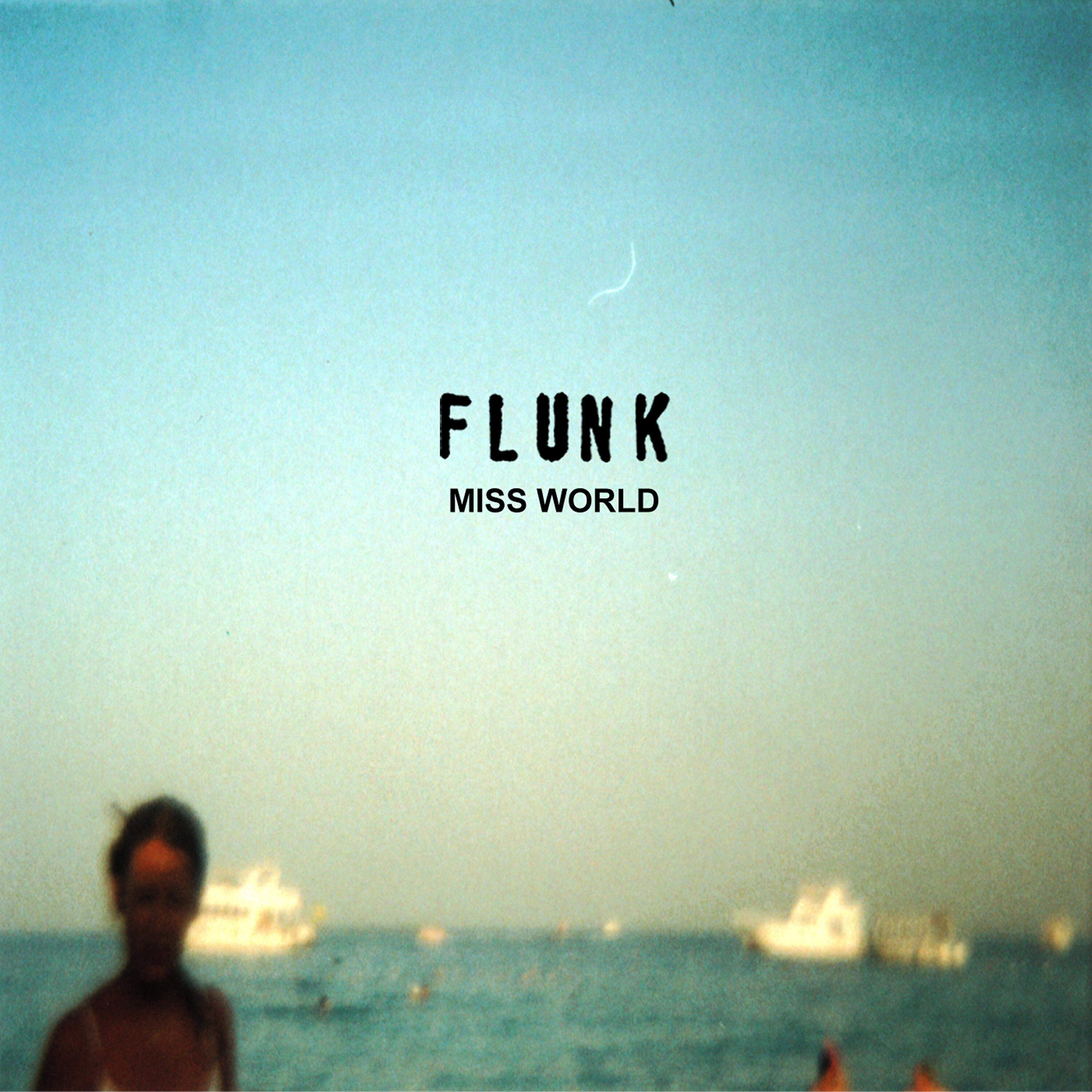 Flunk - Kebab Shop 3 AM (Electromonika Remix)