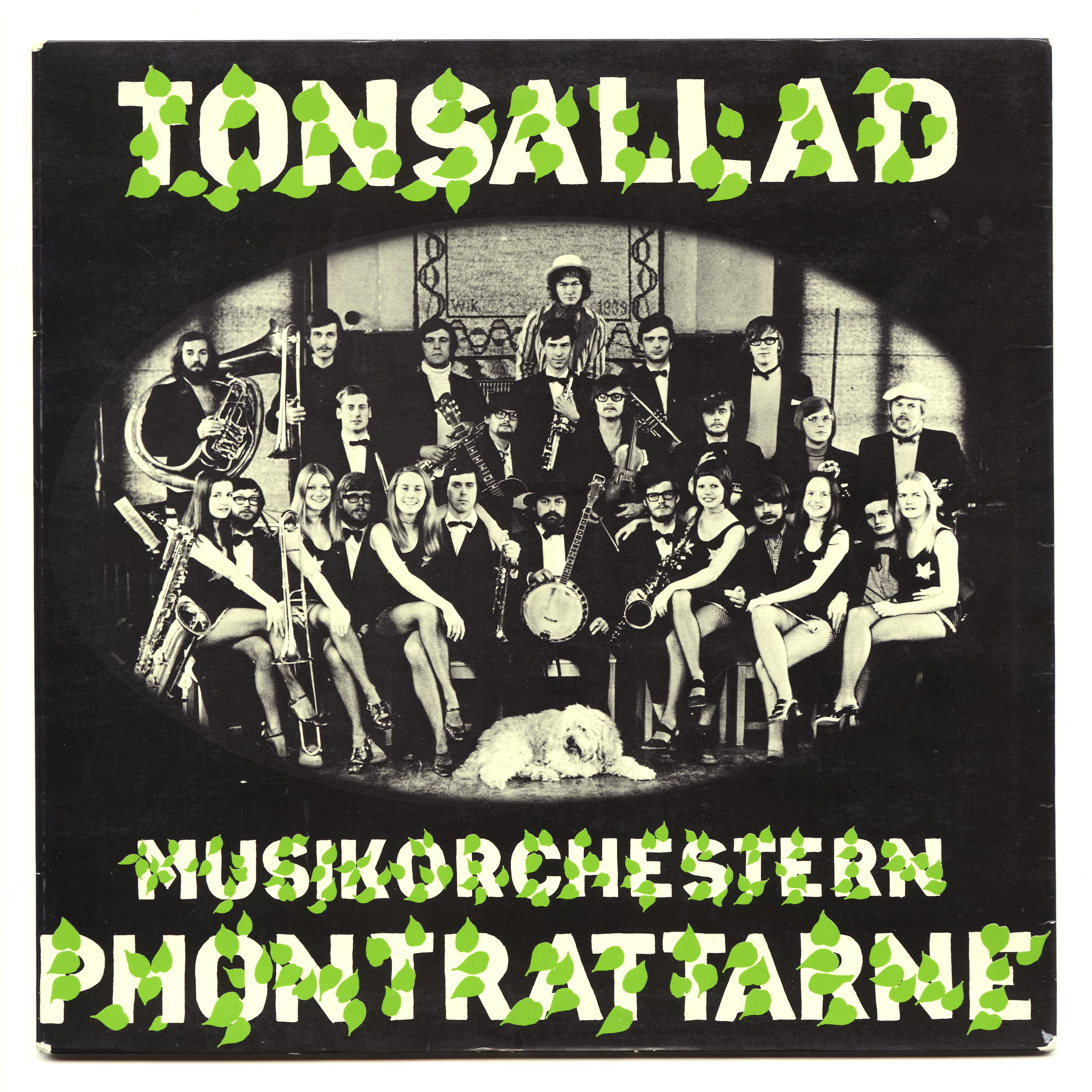 Постер альбома Tonsallad