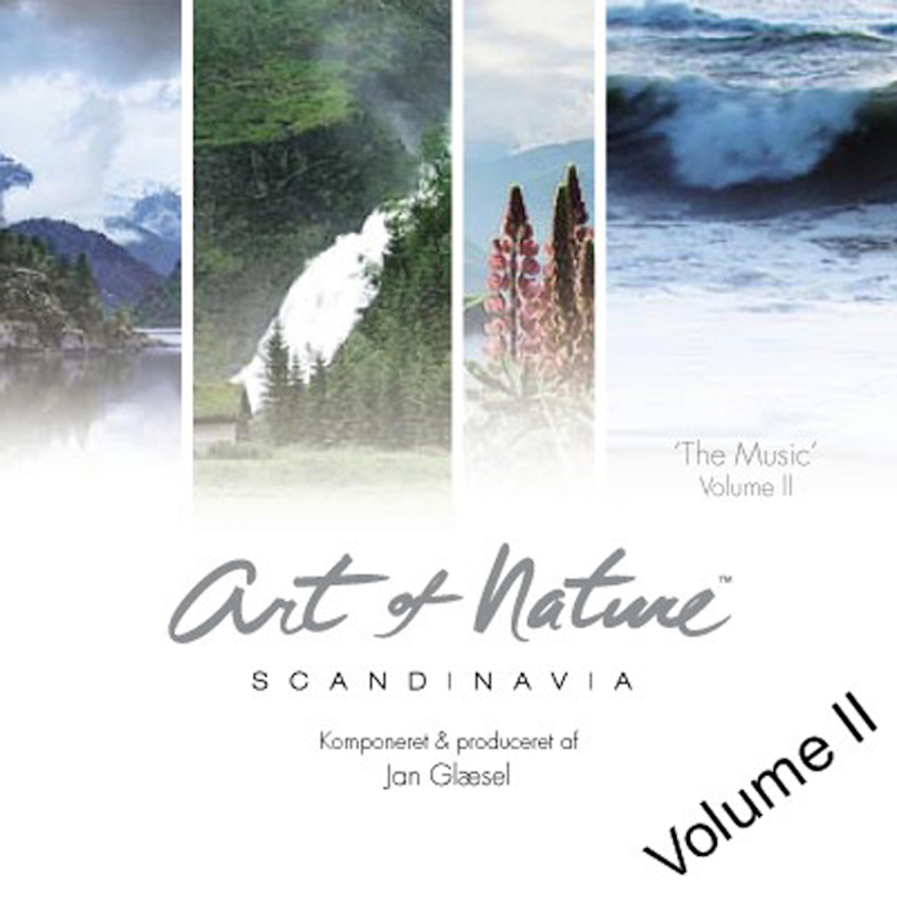 Постер альбома Art of nature Vol II
