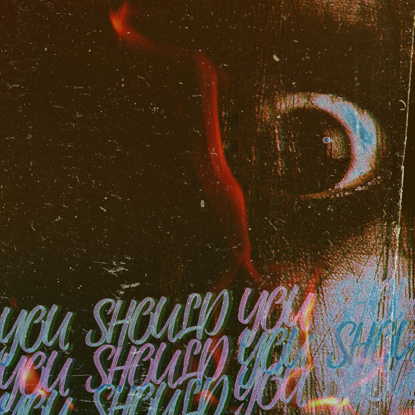 BVLA - you should