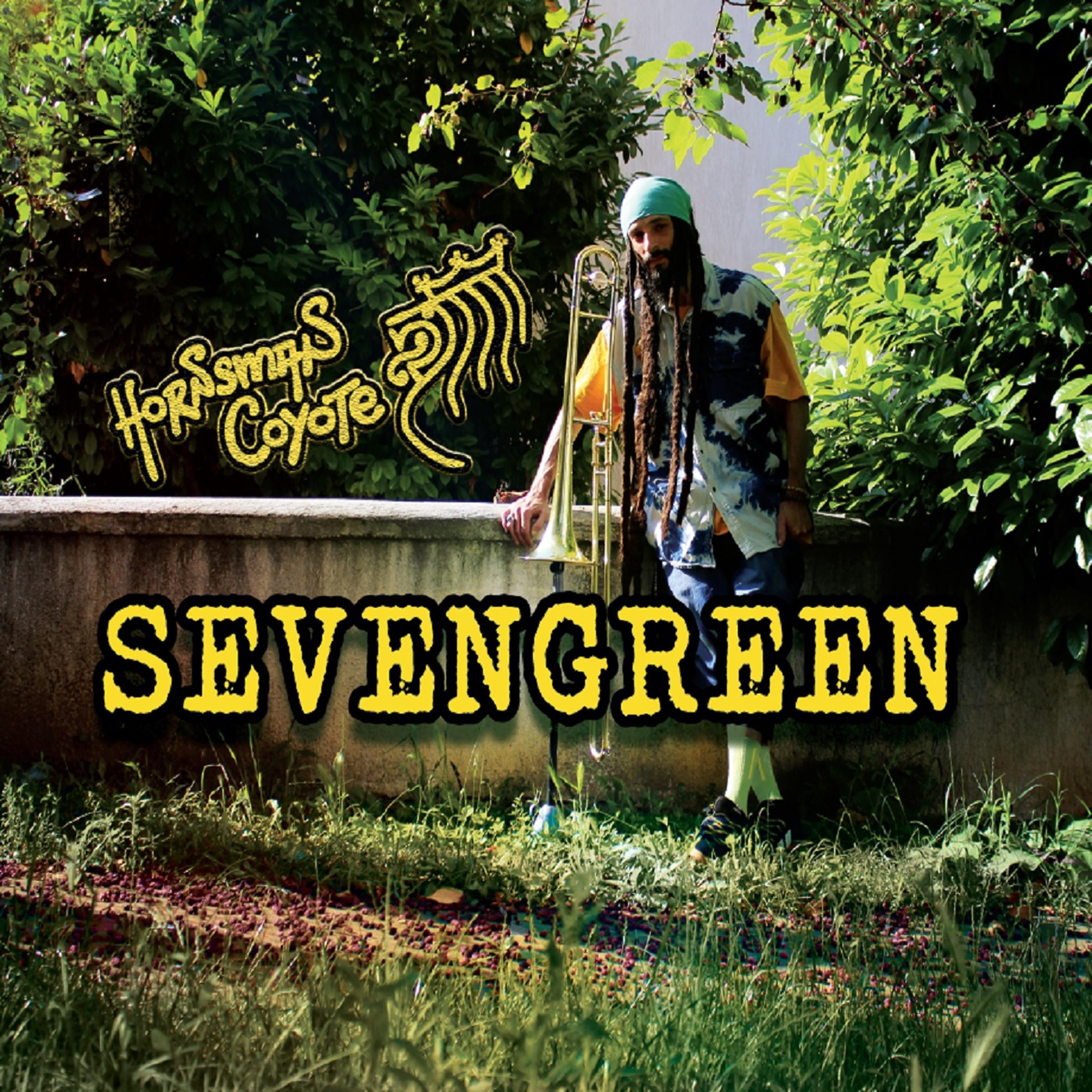 Постер альбома Sevengreen