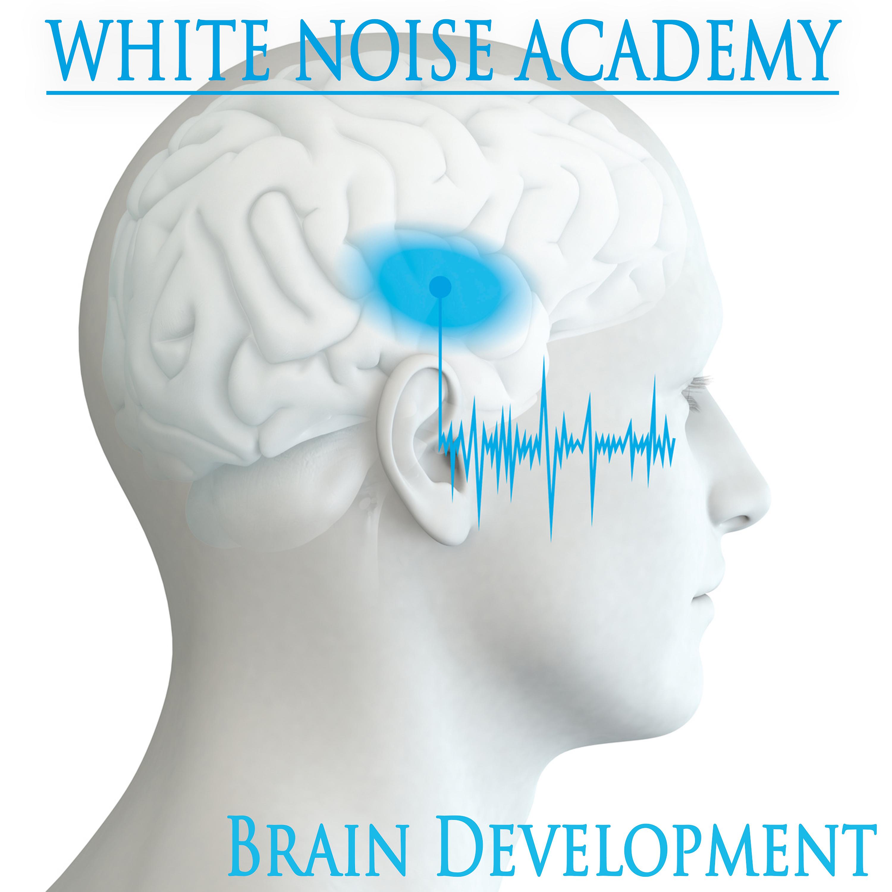 Постер альбома White Noise Academy