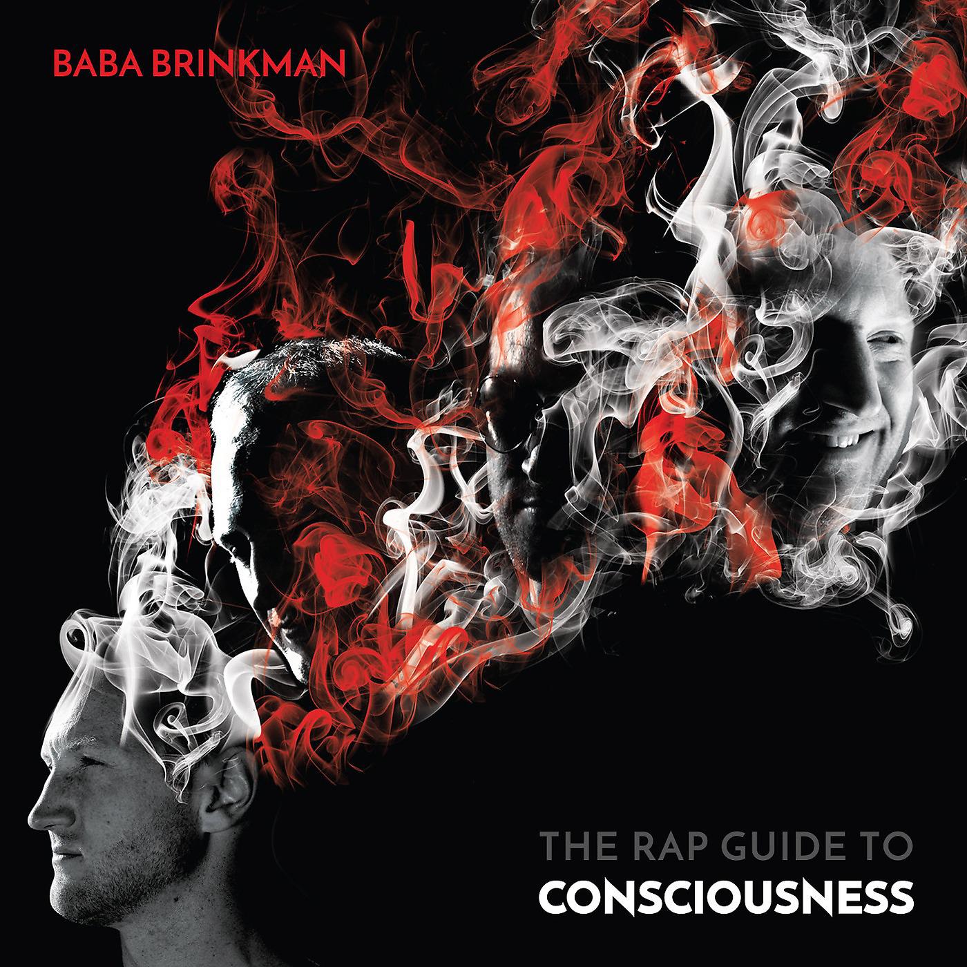 Постер альбома The Rap Guide to Consciousness