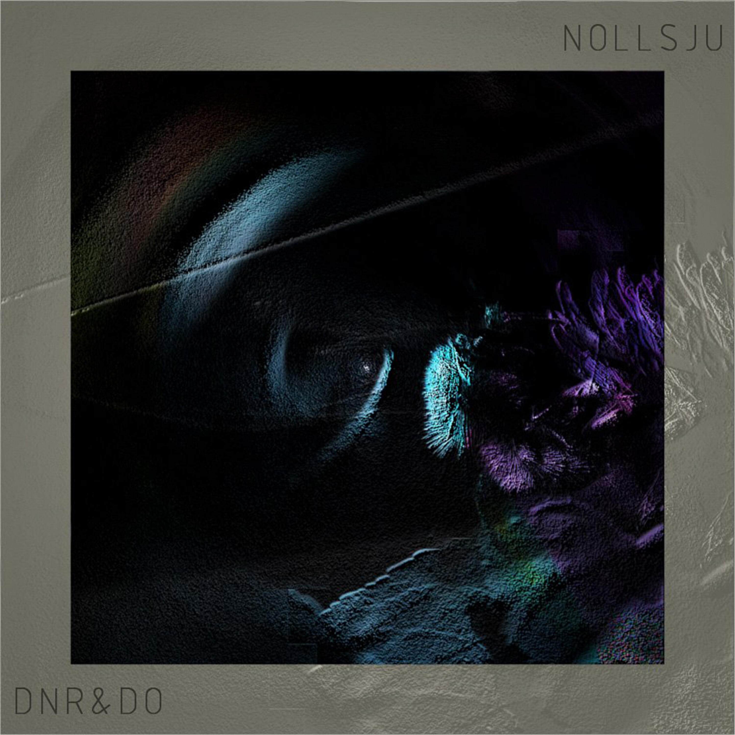 Dnr & Do - Nollsju