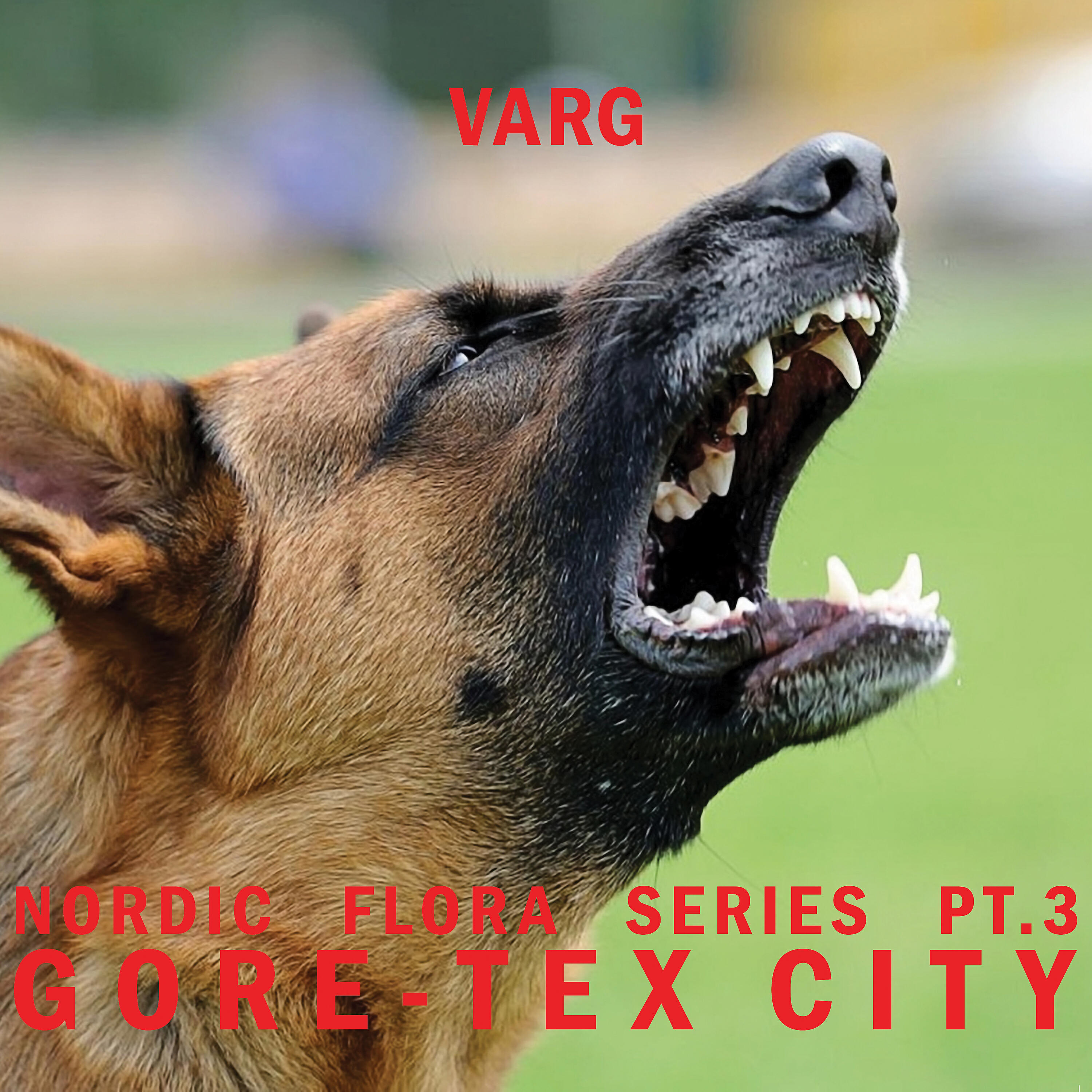 Varg - Fonus