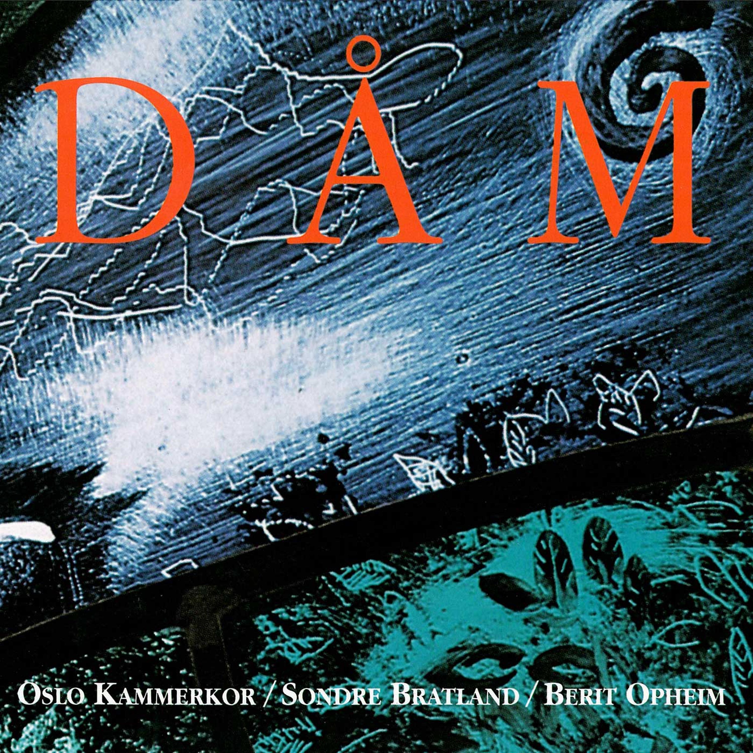Постер альбома Dåm