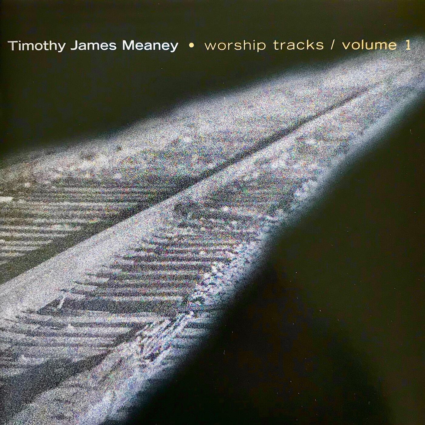 Timothy James Meaney - Heaven's Love (Blackstone Mix)