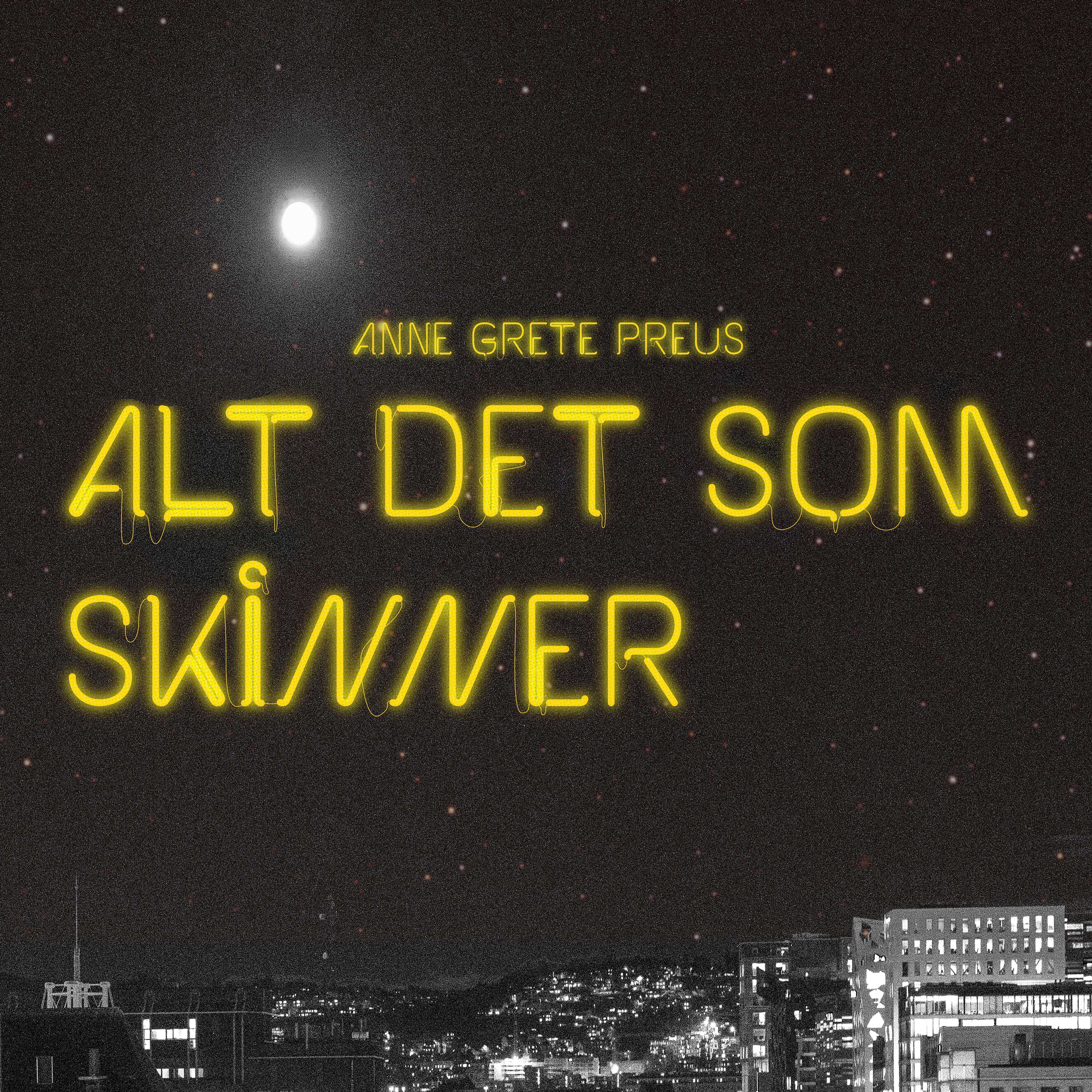 Постер альбома Alt det som skinner