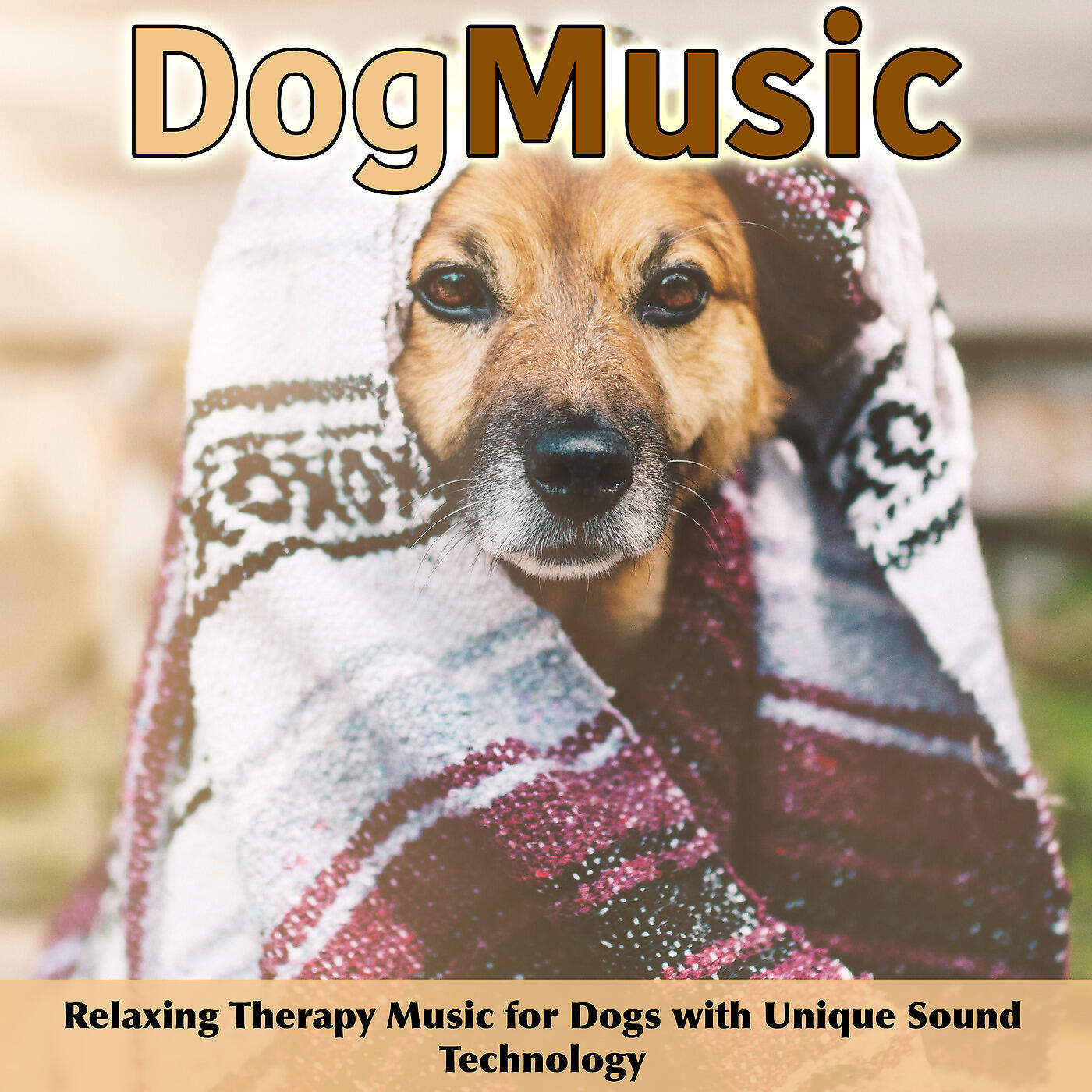 Relax My Dog Music - Soothing Dog Music