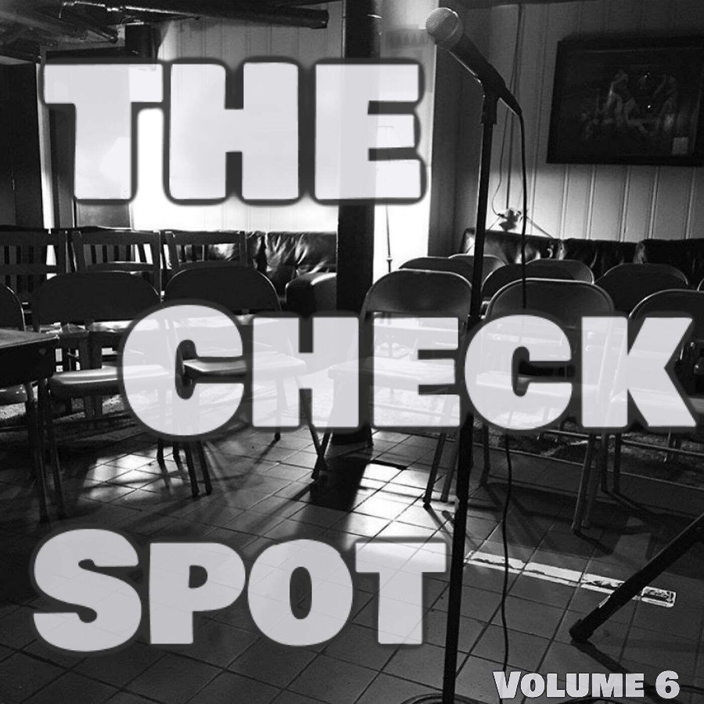 VARIOUS ARTISTS - Come Back to the Mendoza Line