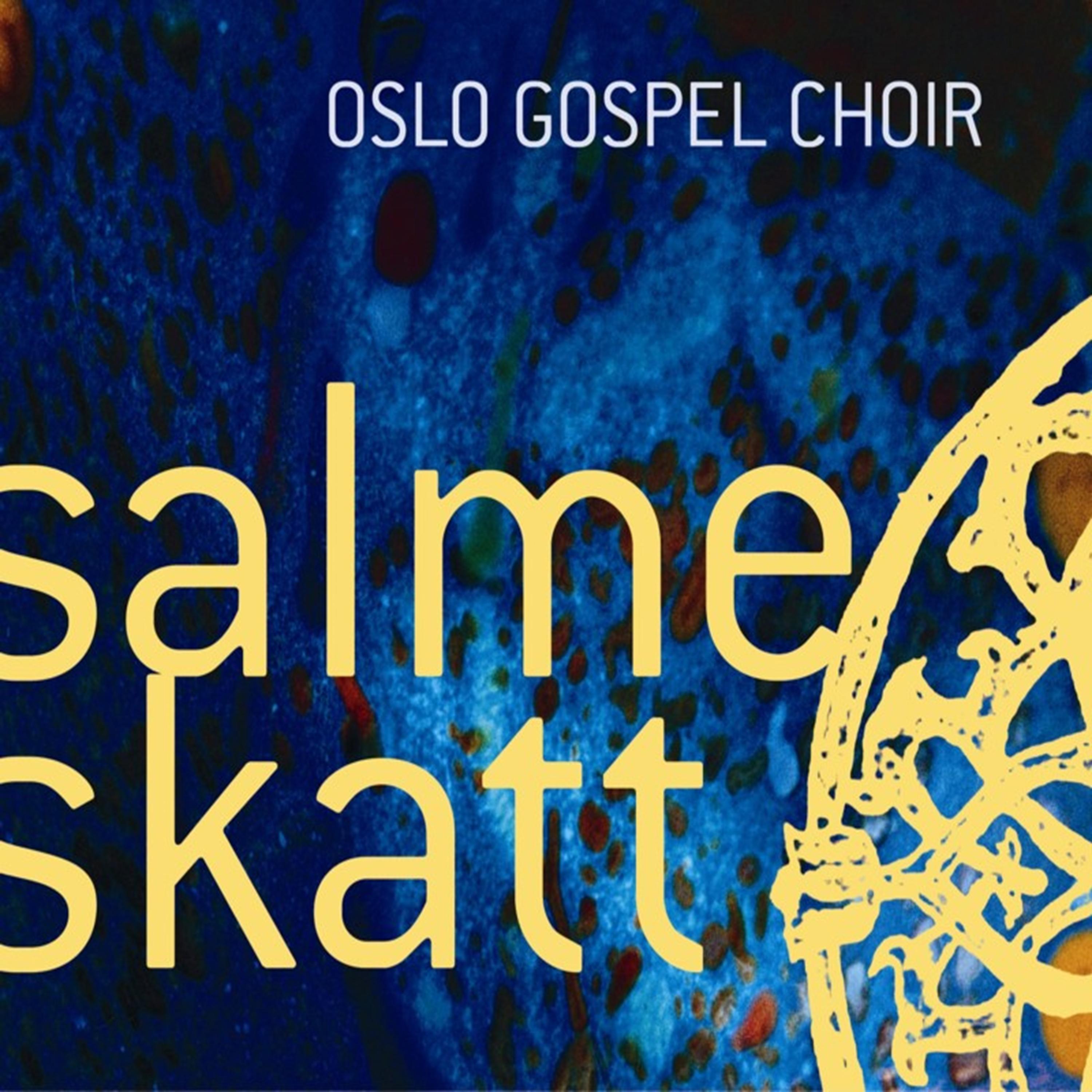 Постер альбома Salmeskatt