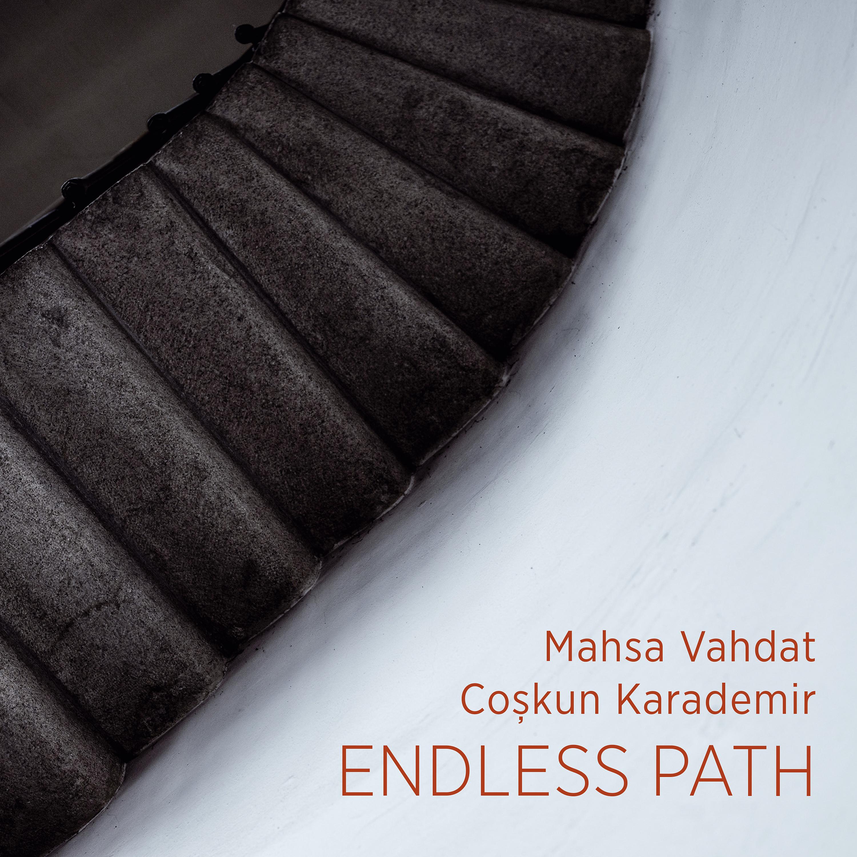 Постер альбома Endless Path
