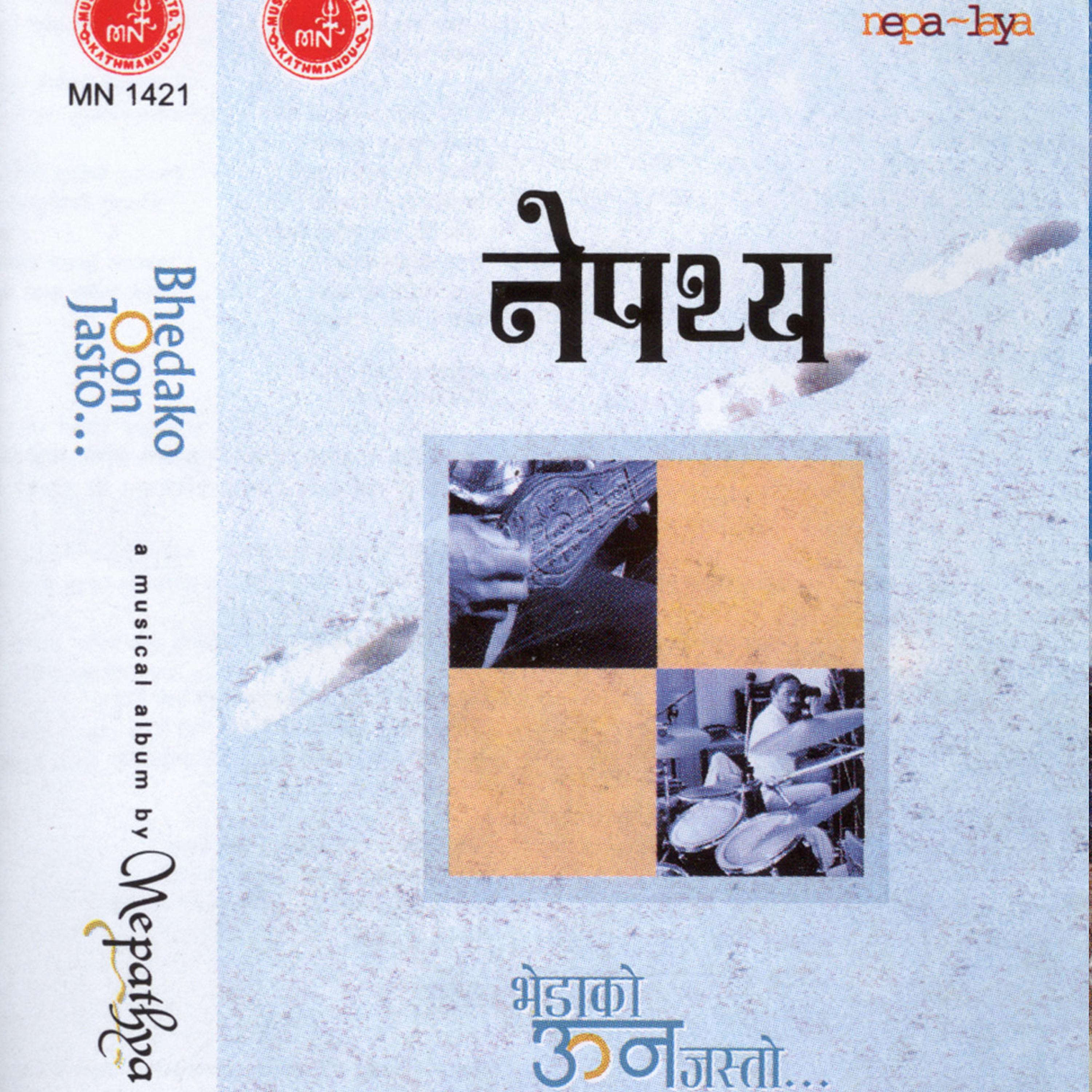 Постер альбома Nepathya