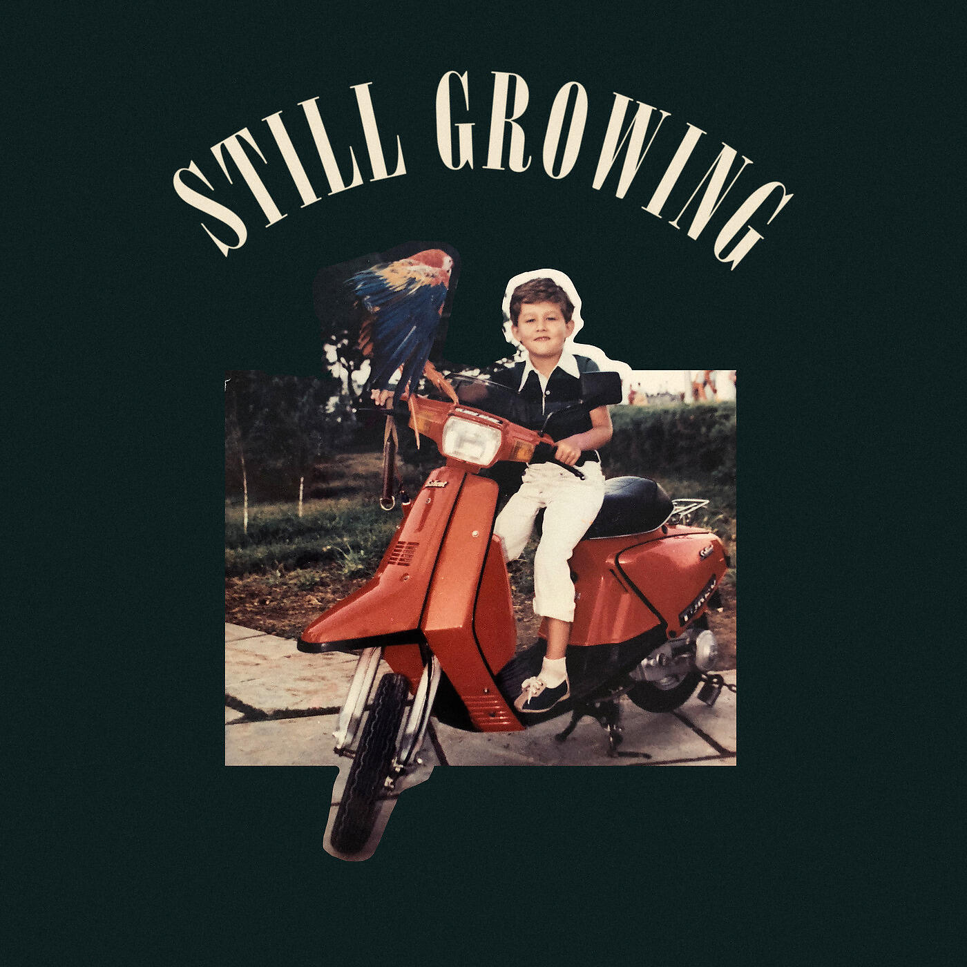 Full Crate - A Fool Getting Older