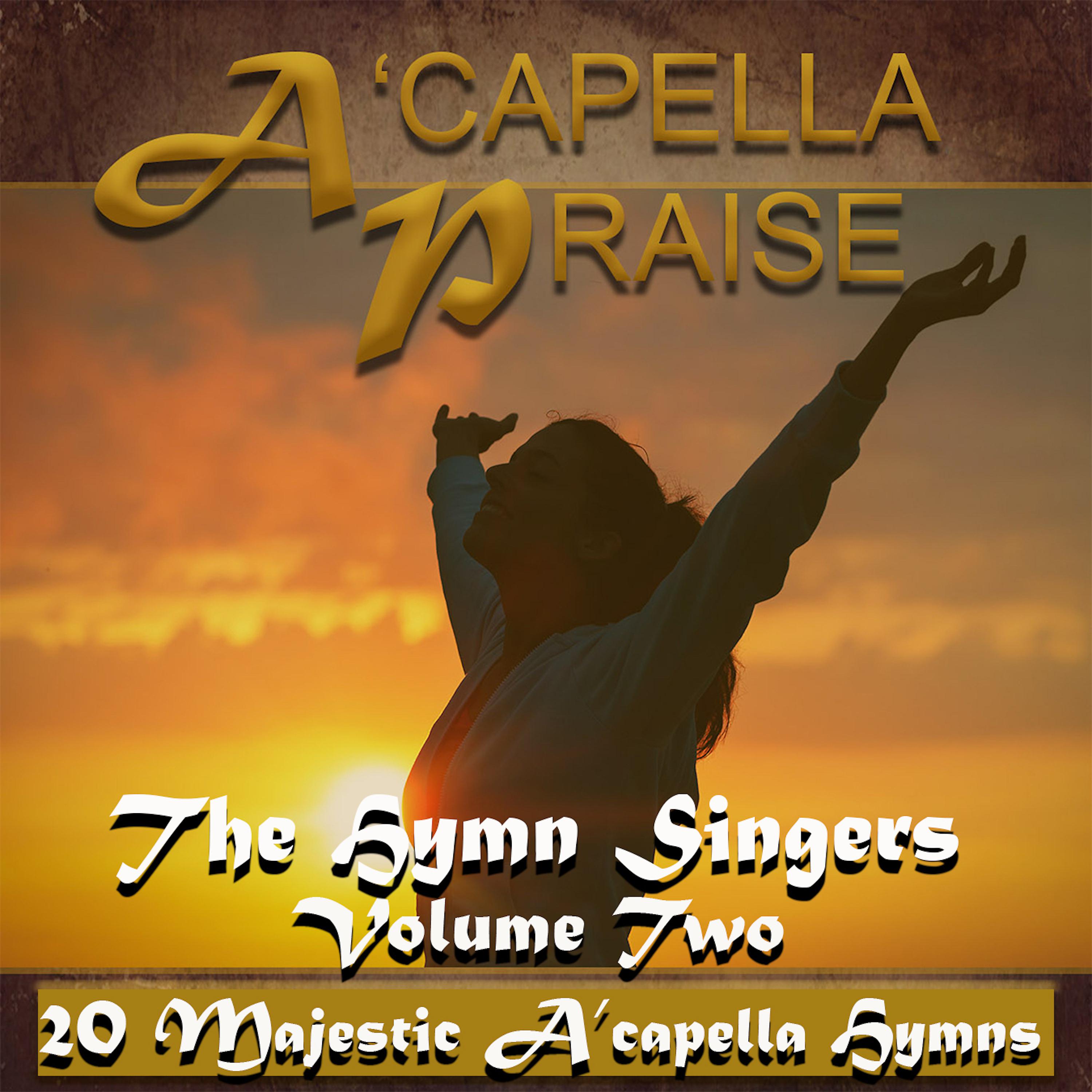 Постер альбома A'capella Praise, Vol. 2