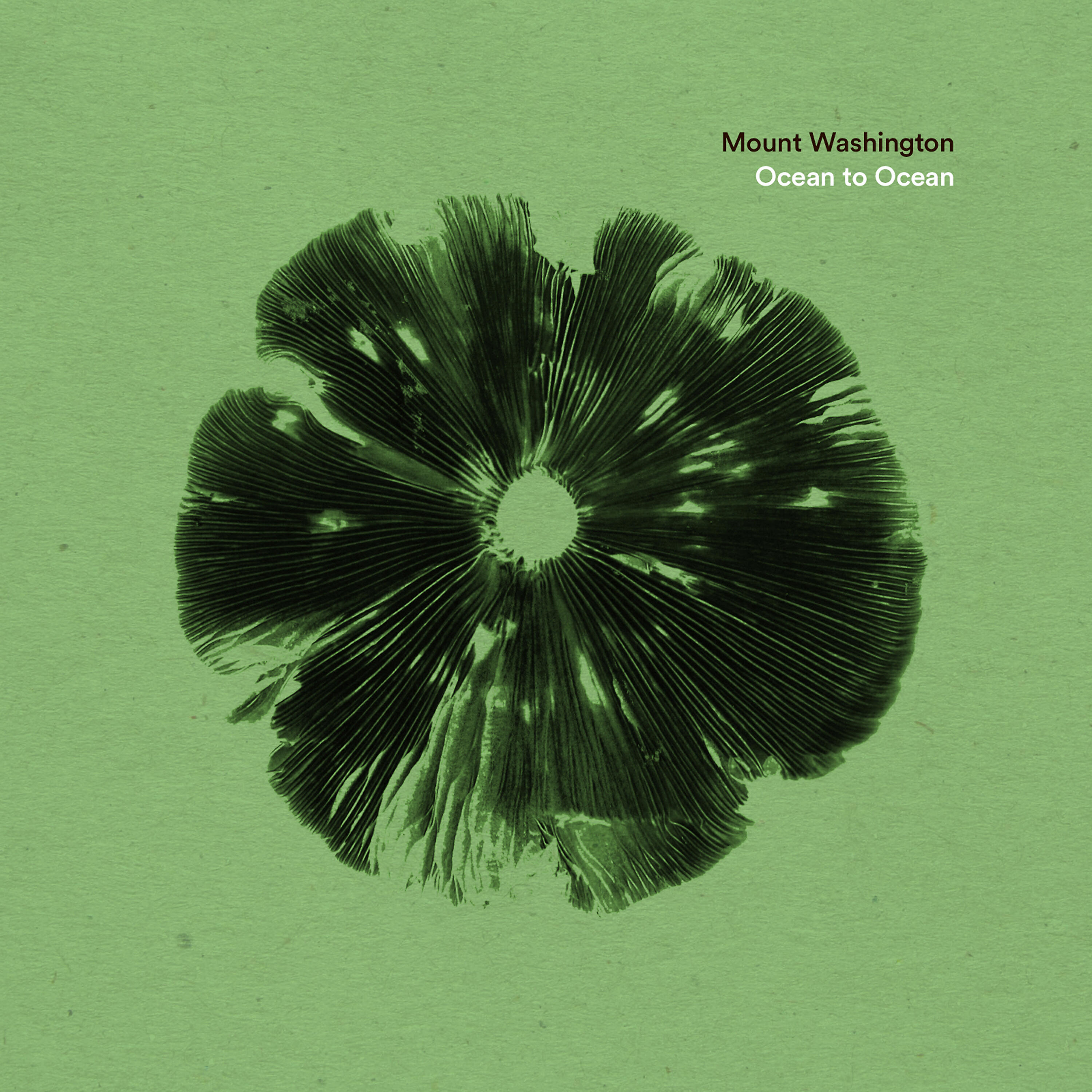Mount Washington - Ocean to Ocean