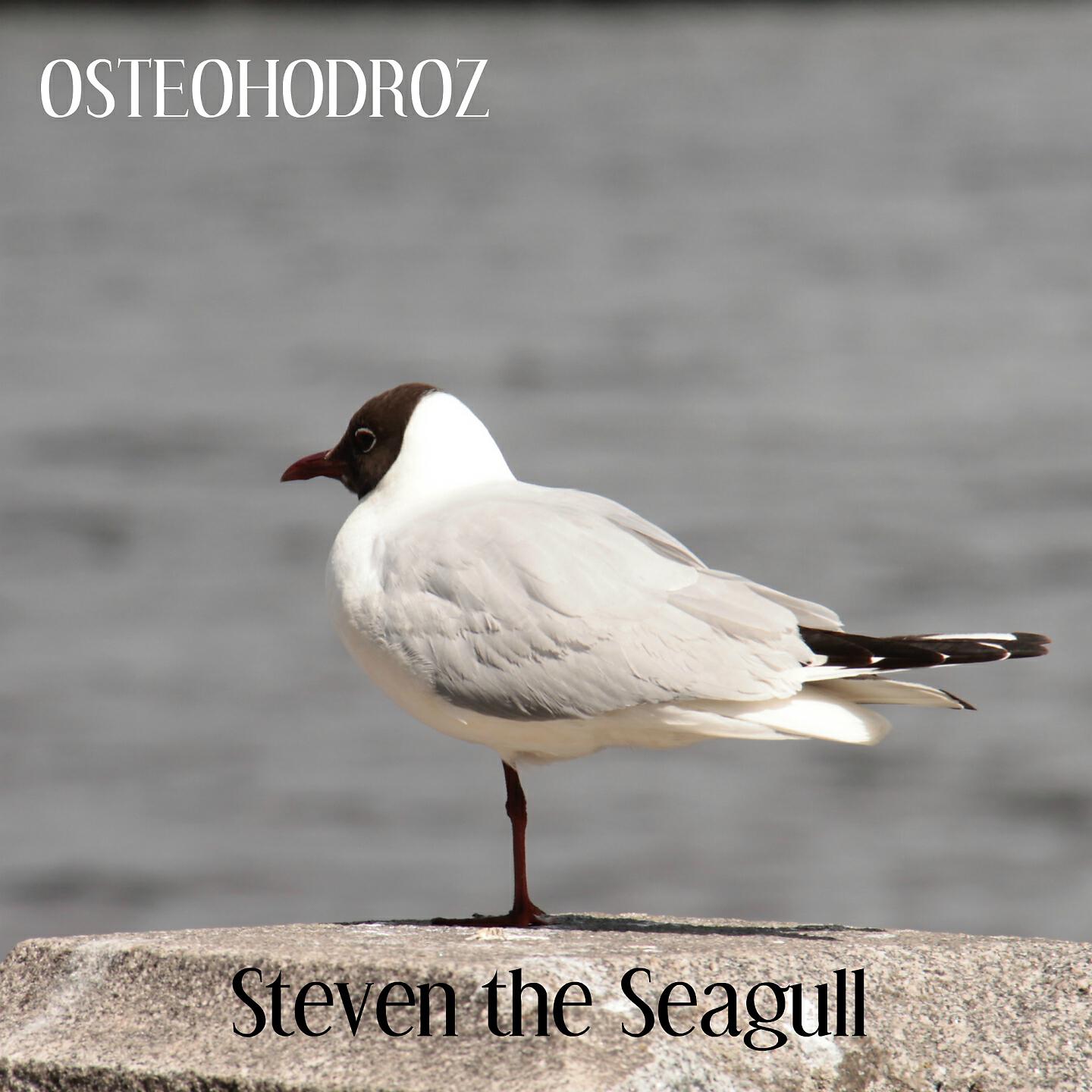 Osteohondroz - House of Gammy John