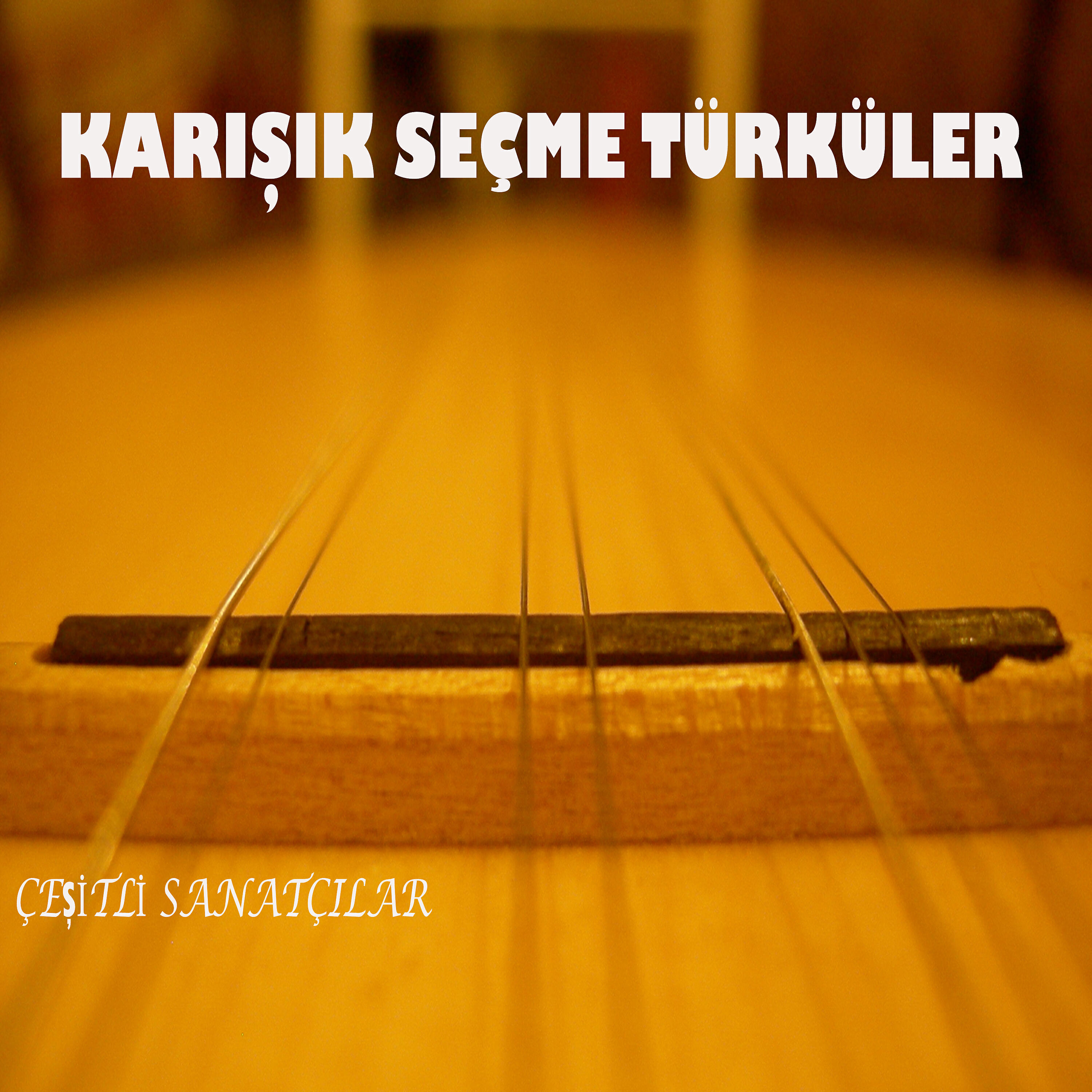 Haydar Ulaş - Mızrabım