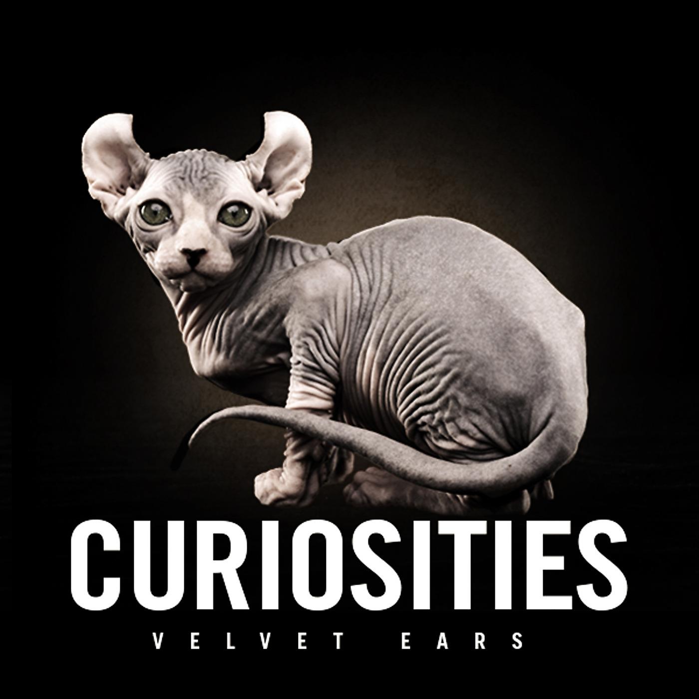 Постер альбома Velvet Ears: Curiosities