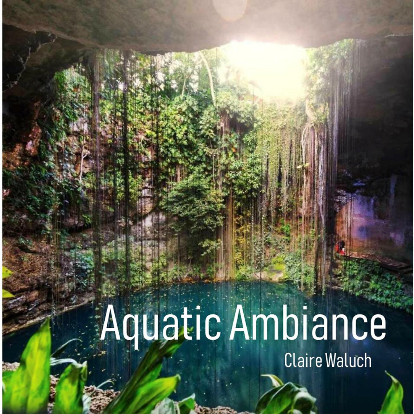 Постер альбома Aquatic Ambiance (From Donkey Kong Country)