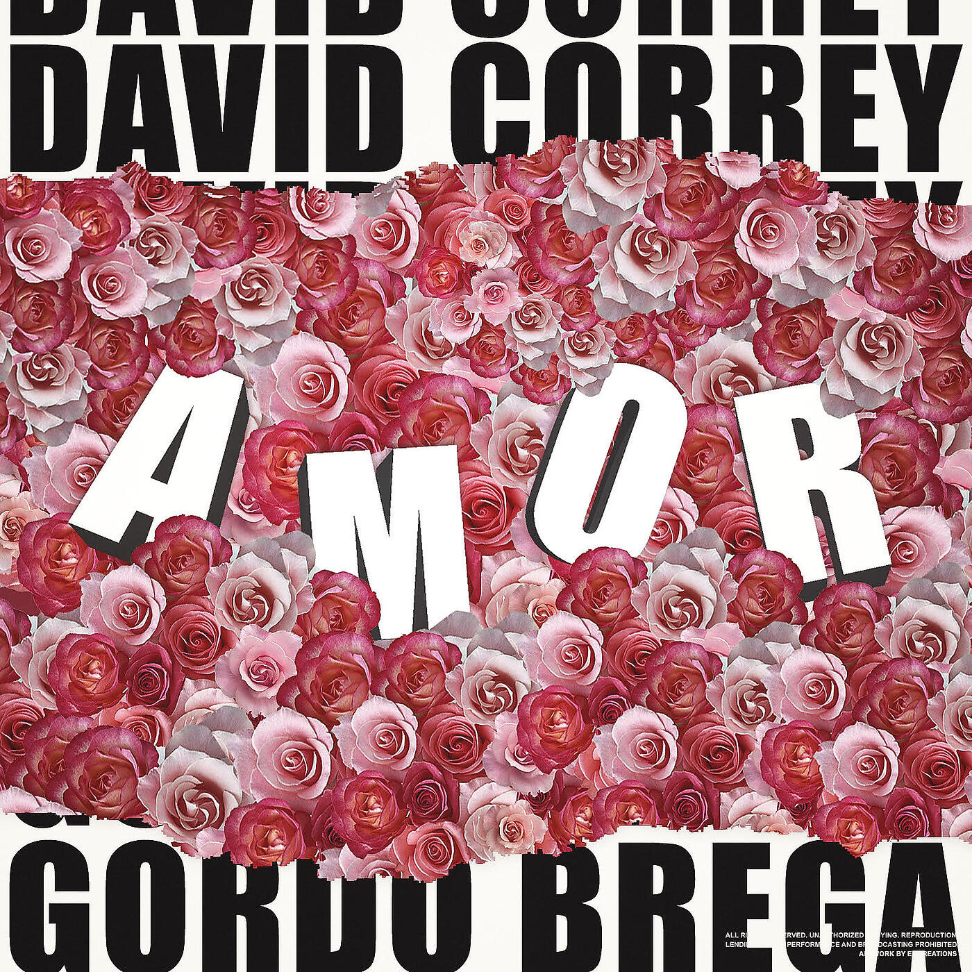 David Correy - Amor
