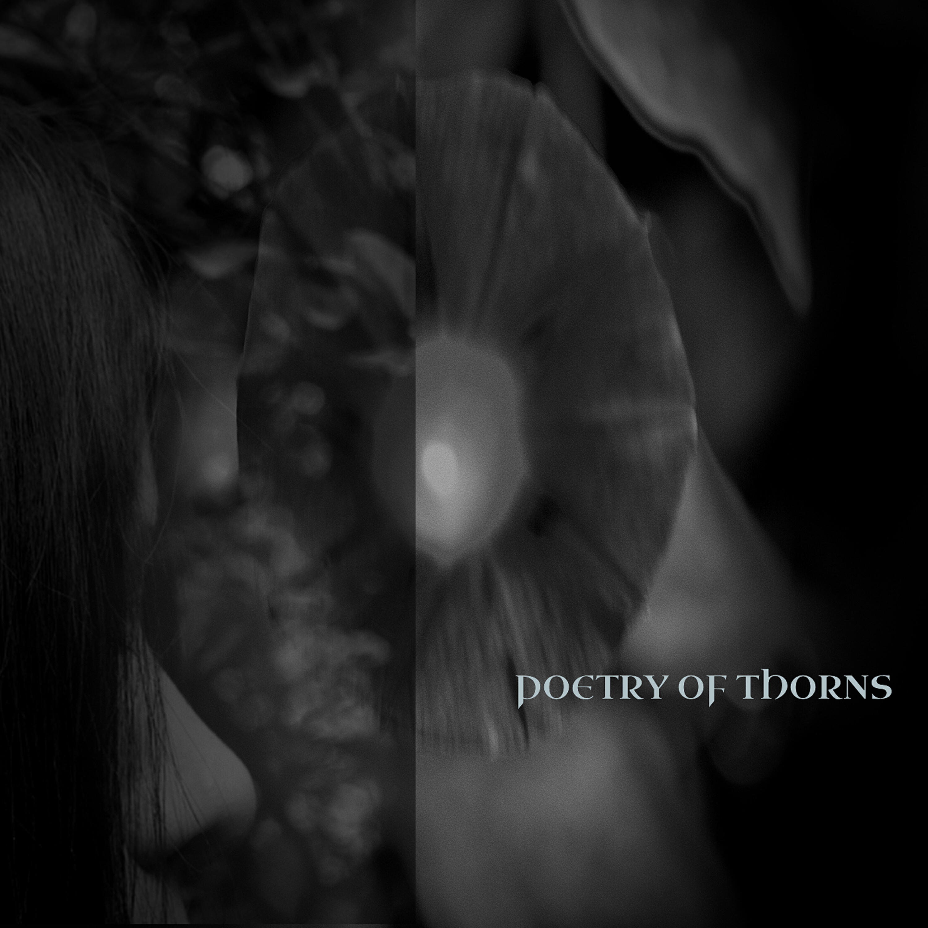 Poetry Of Thorns - The Liquid Mirror